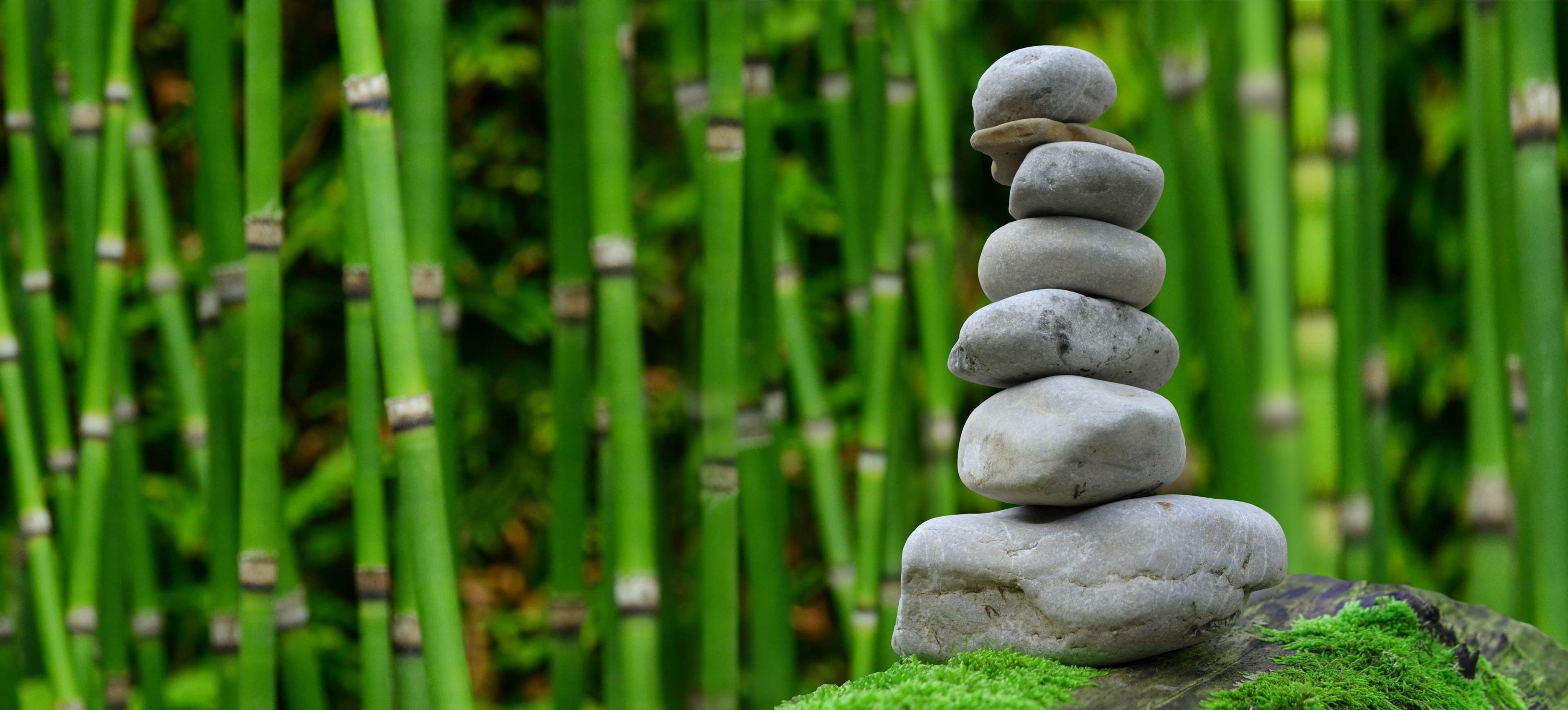 bamboo, japan, stack, balance, solid, figure, bamboo - plant, buddha, spiritual, wellnes, garden, outdoors, green color, meditate, focus on foreground, HD Wallpaper