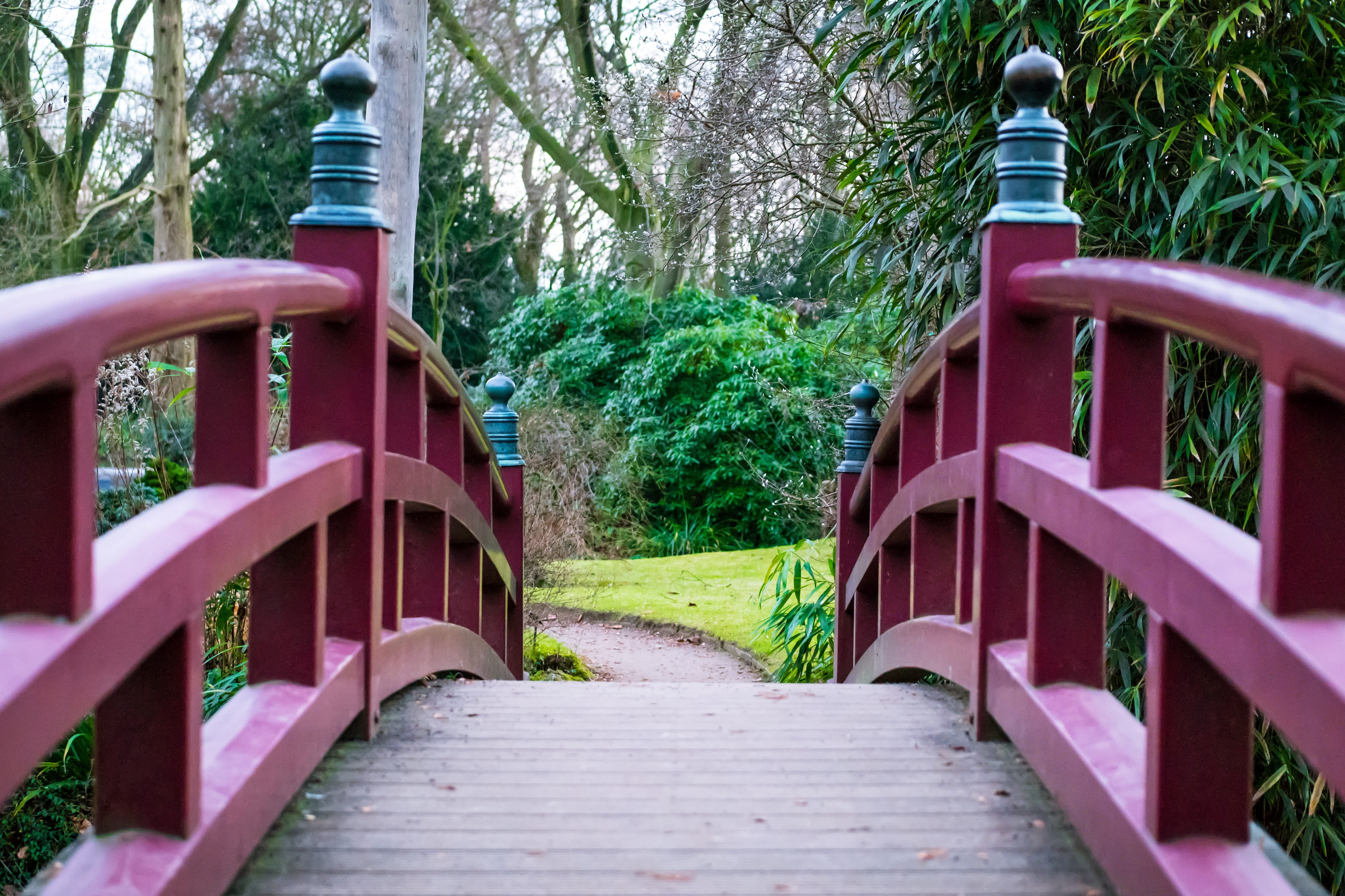 no People, first, the way forward, arch, connection, green Color, photography, wood - Material, boardwalk, day, garden, person, tree, plant, grass, footpath, HD Wallpaper