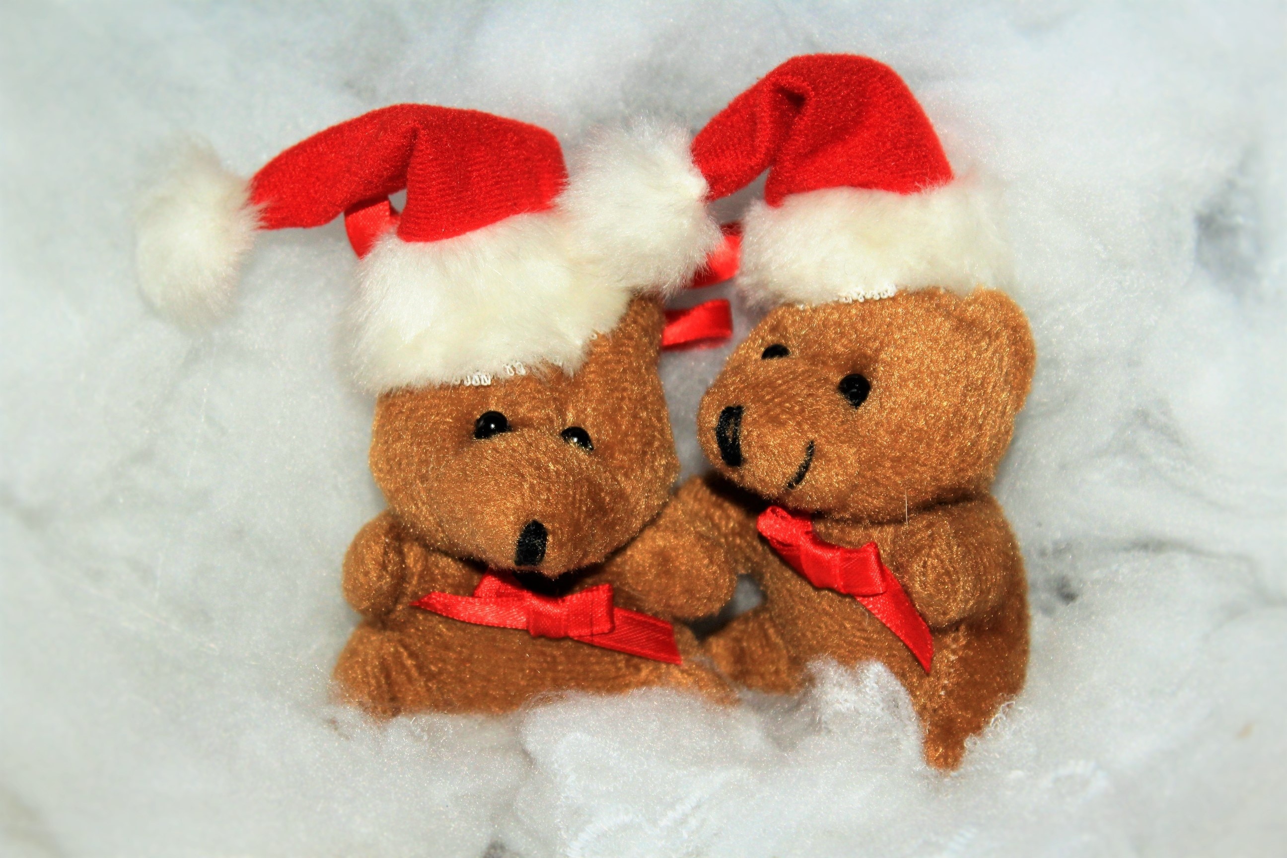 winter, softness, representation, brown, indoors, snow, creativity, plush, red, bear, decoration, human representation, art and craft, stuffed toy, close-up, HD Wallpaper
