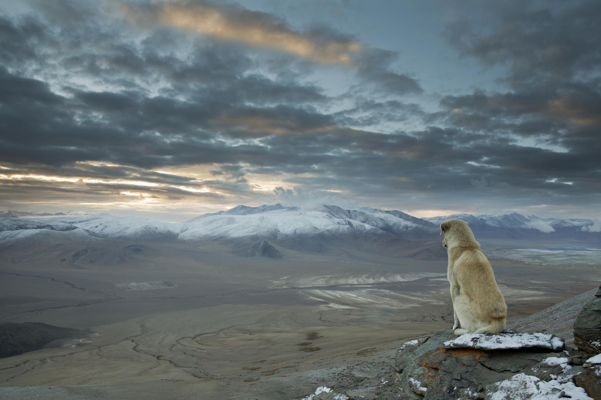 1080P, Enlightenment, sky, animals, nature, dog, mountains, landscape, HD Wallpaper