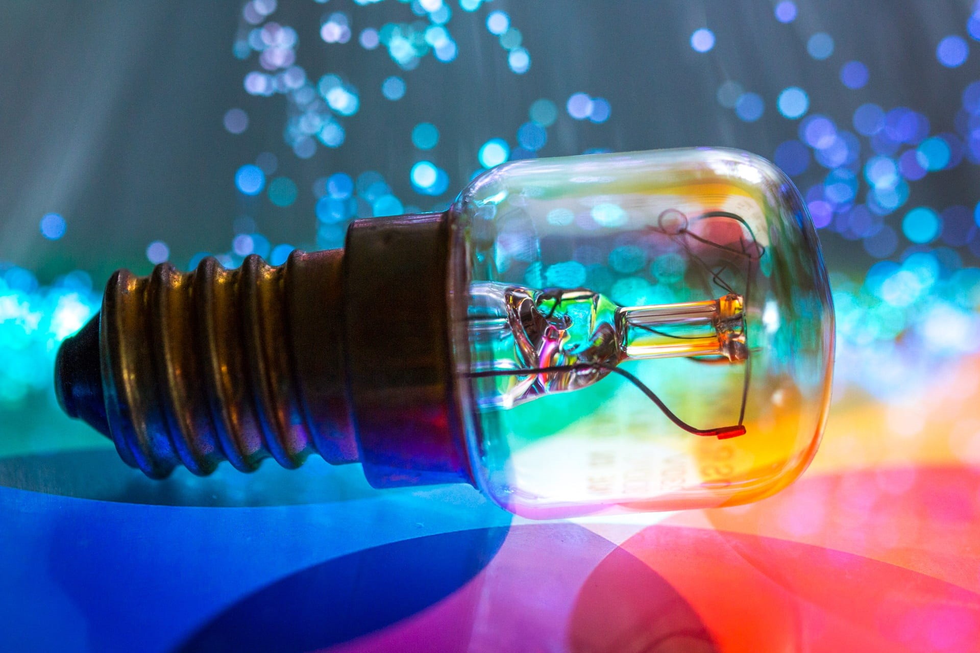 bulb, invertebrate, indoors, container, digital composite, energy, thread, nature, light, animal, shed light, glass, electricity, photo, pear, light bulb, HD Wallpaper