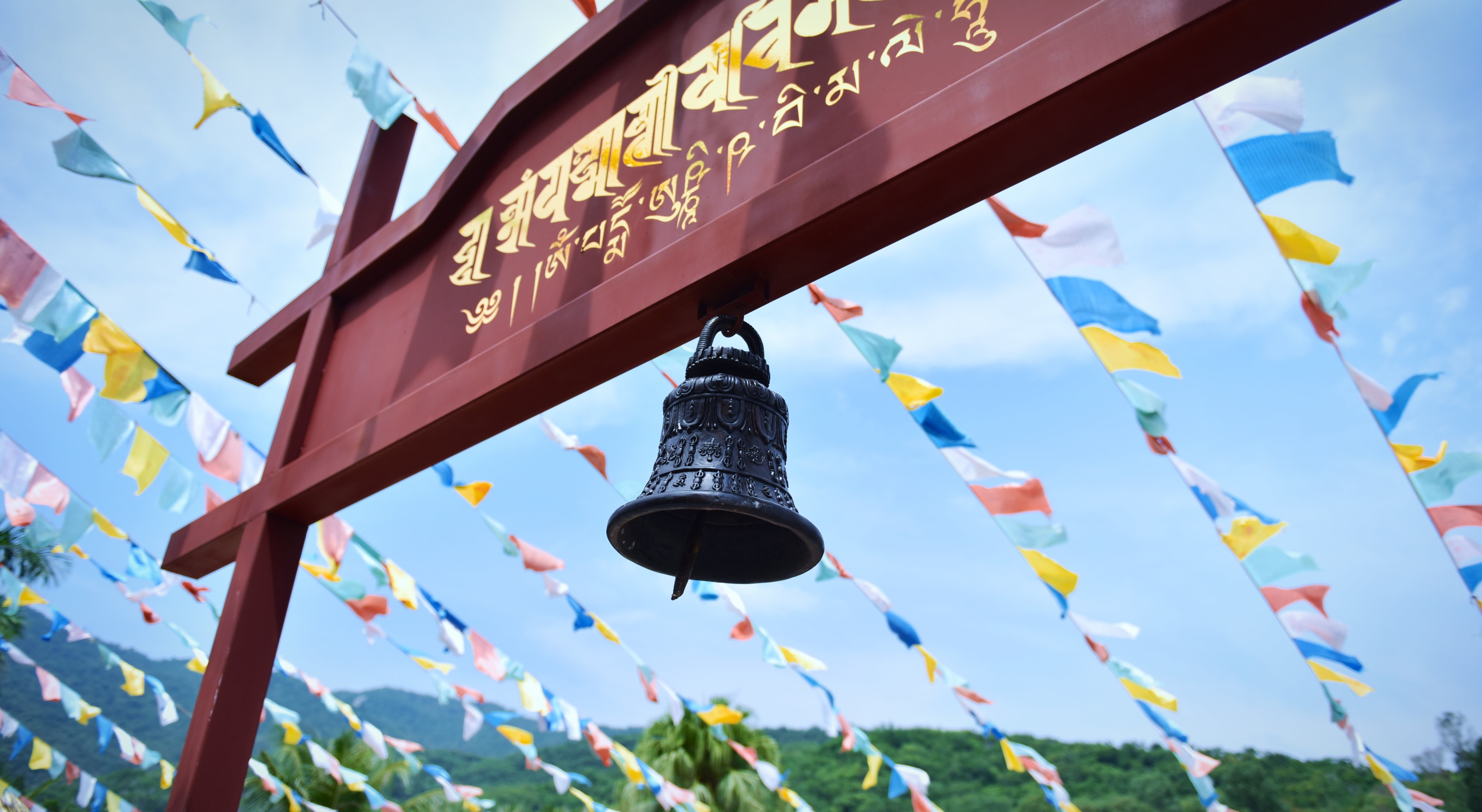 plant, cloud - sky, nature, architecture, environment, wind, multi colored, day, hanging, lighting equipment, jinyu guanyin, low angle view, blue, building exterior, HD Wallpaper