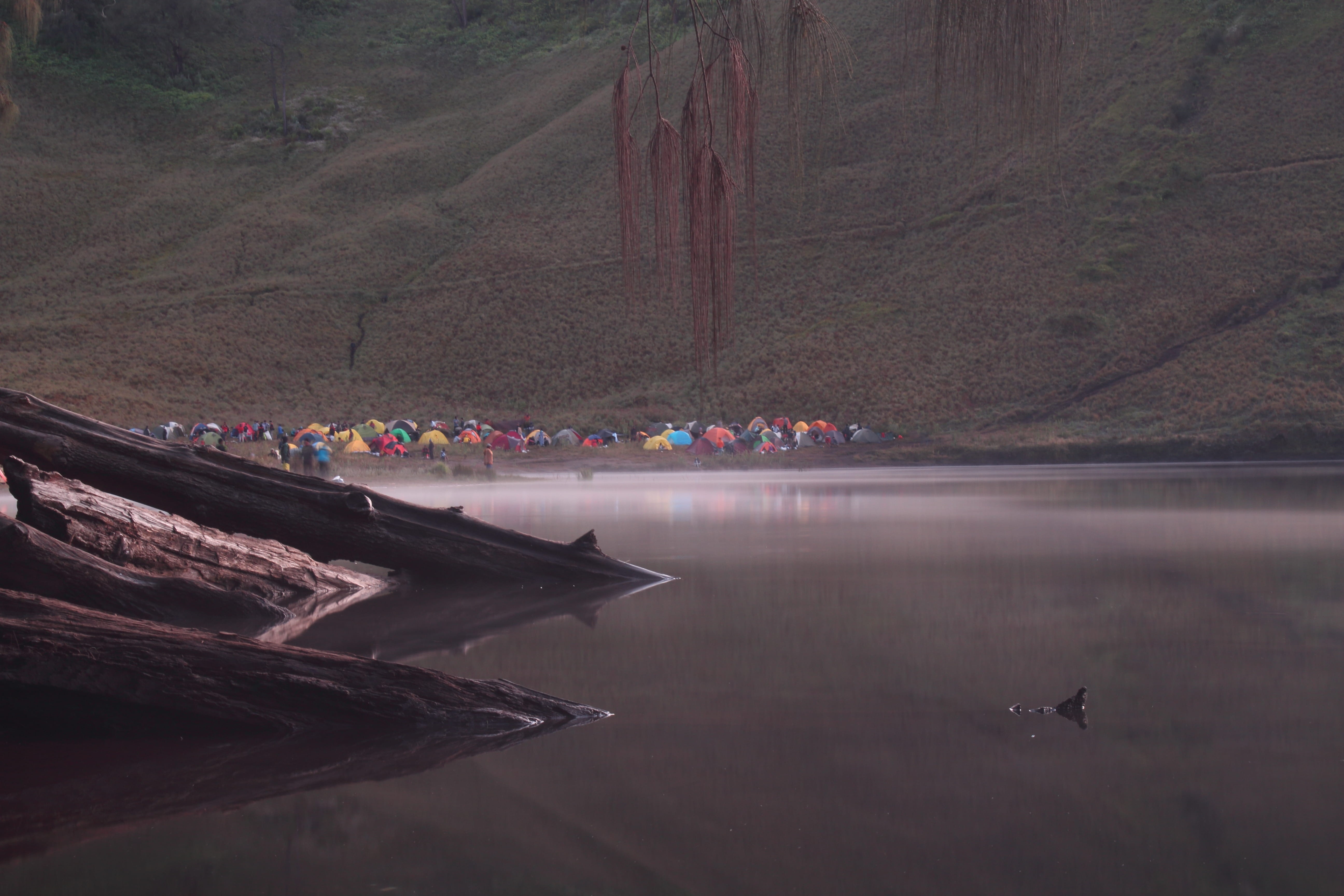 waterfront, crowd, day, tree, large group of people, water, nature, outdoors, mountain, 5K, semeru, tent, real people, camp, nautical vessel, lake, mist, HD Wallpaper