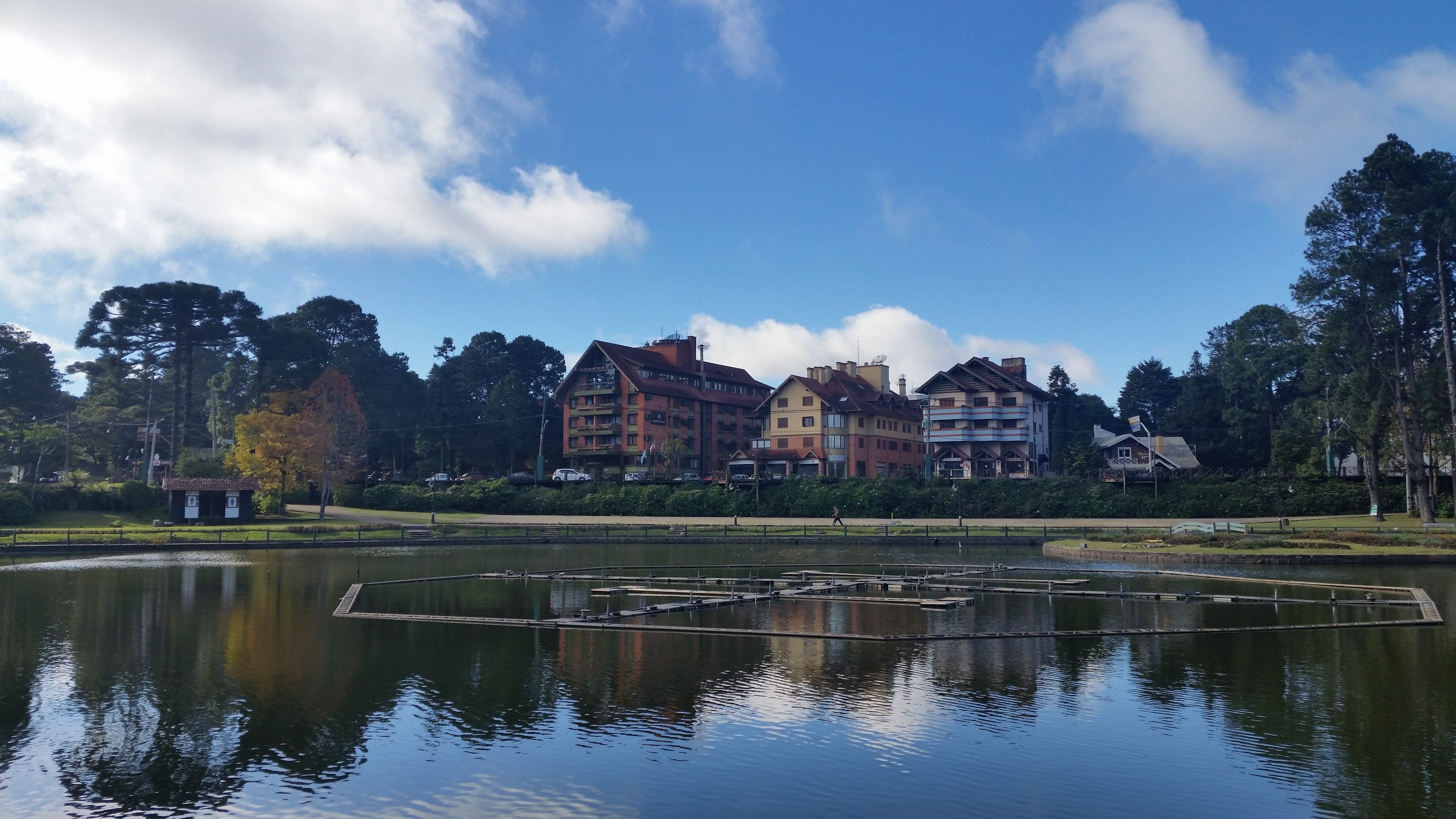 jord, campos, tree, residential district, Campos Do Jordão, house, o, architecture, nature, plant, mountain ranges from rio grande do sul, cloud - sky, HD Wallpaper