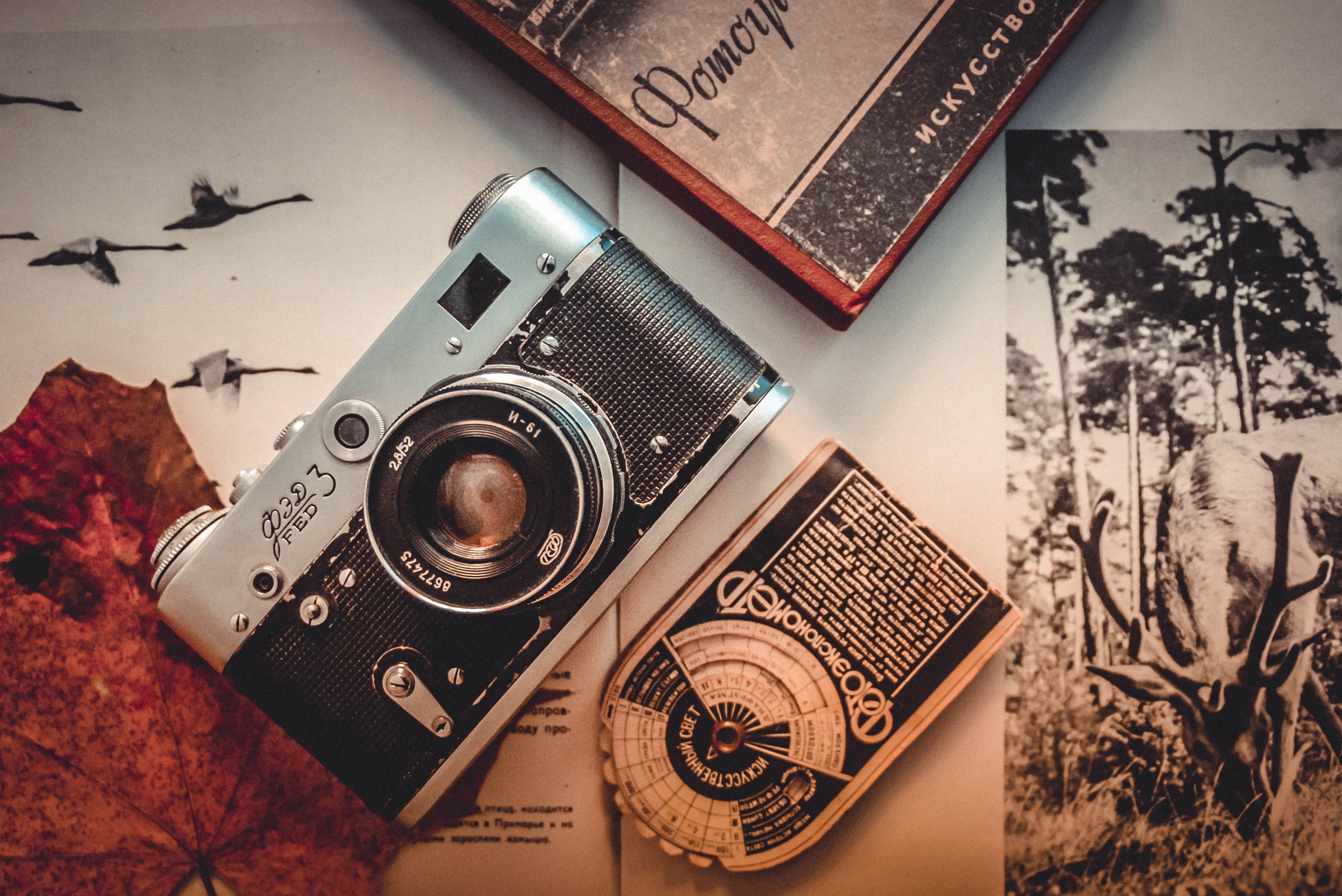nostalgia, flat lay, creativity, 4K, travel, no people, table, camera, floral pattern, digital camera, photography, camera - photographic equipment, electronics, HD Wallpaper