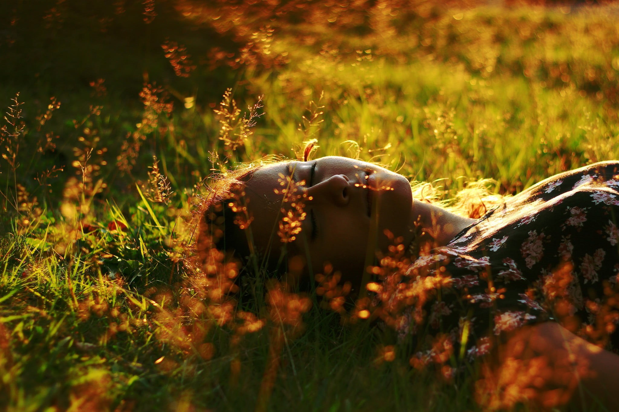 yellow, 1080P, bokeh, top, springtime, cap, lying, woman, animal, growth, pink, outdoors, floral, lying Down, plant, face, summer, no people, green Color, HD Wallpaper