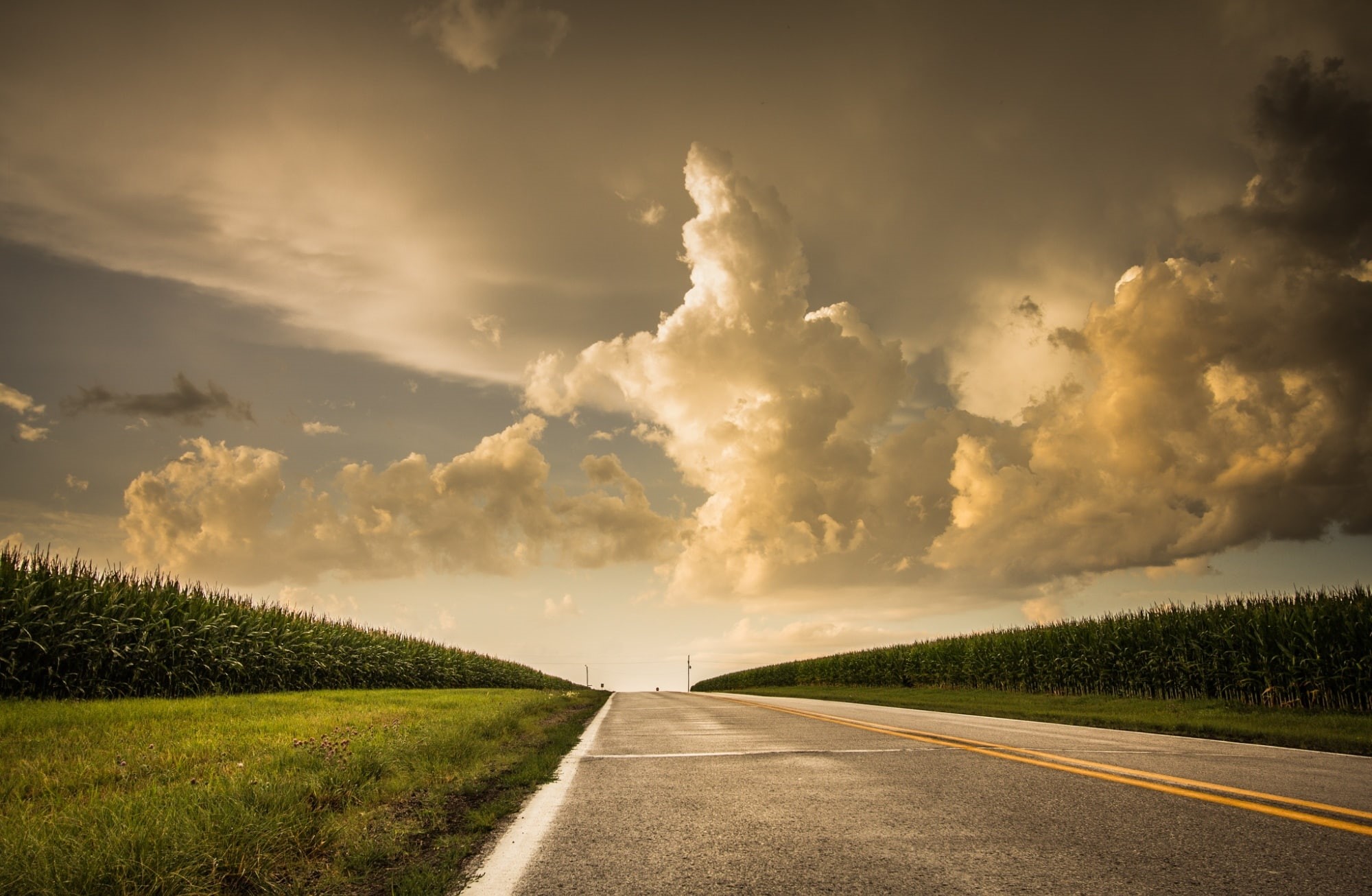 beauty in nature, tranquil scene, Summer, sunset, Corn, United States, Road, 1080P, cloud - sky, scenics - nature, transportation, direction, land, no people, HD Wallpaper