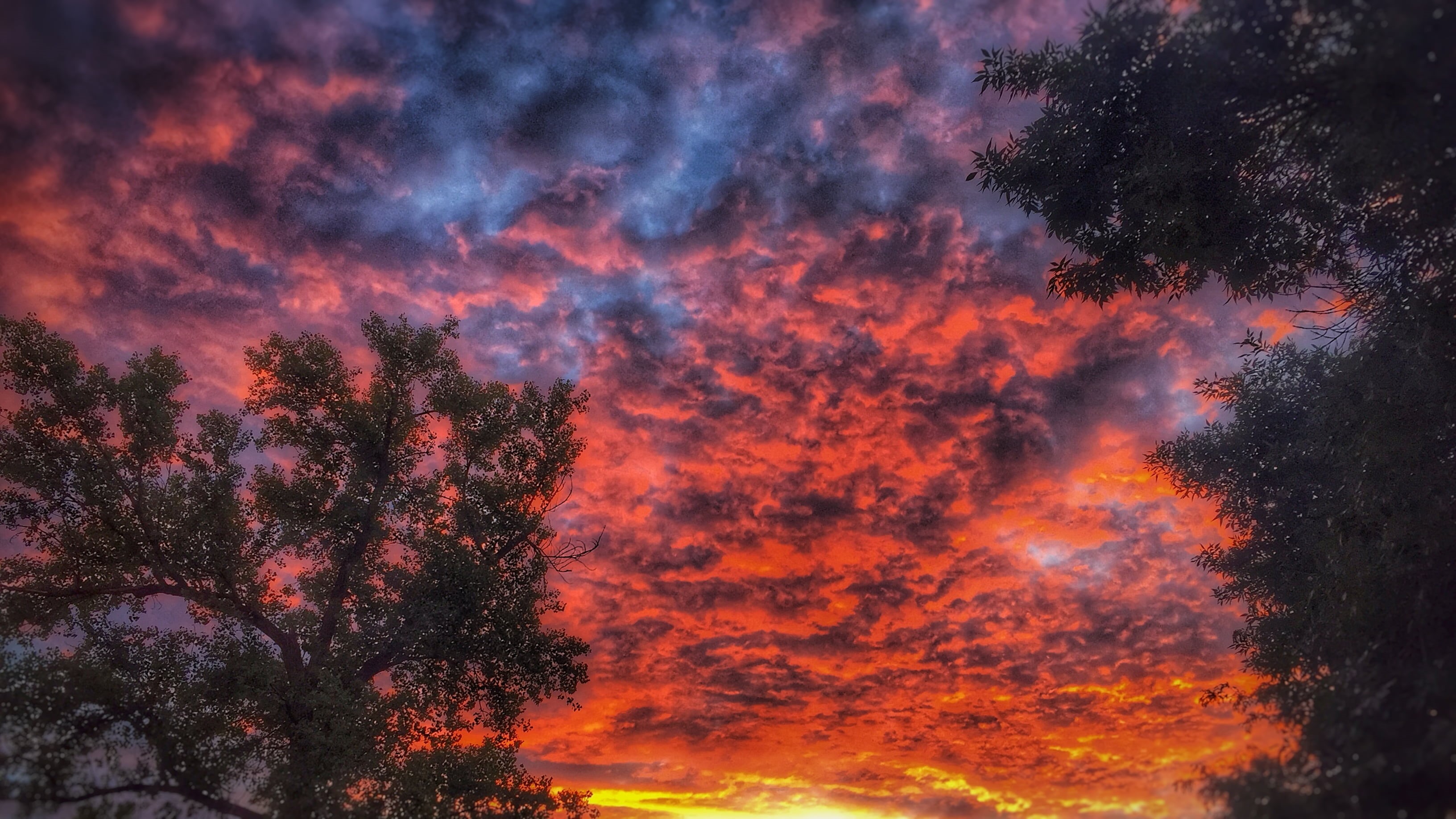 dusk, trees, recreation area, pretty, colorful, multi Colored, 2K, sunrise, colors, aerial, aerial view, nature, louisville  fire, outdoors, clouds, night, HD Wallpaper
