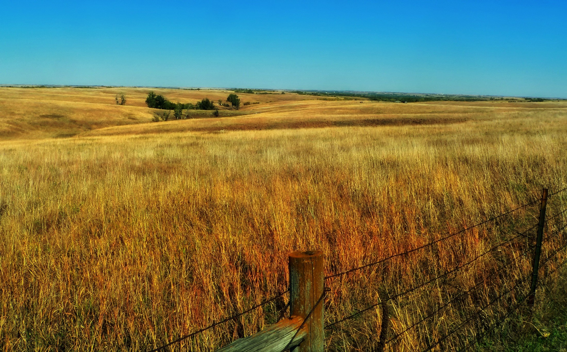 barrier, vista, horizon over land, agriculture, tranquility, tranquil scene, day, prairie grass, rural scene, no people, brown, nature, field, nebraska, HD Wallpaper