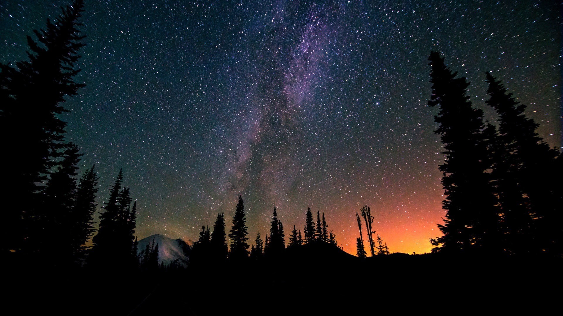 forest, stars, 1080P, night, long exposure, trees, landscape, Milky Way, mountains, nature, HD Wallpaper