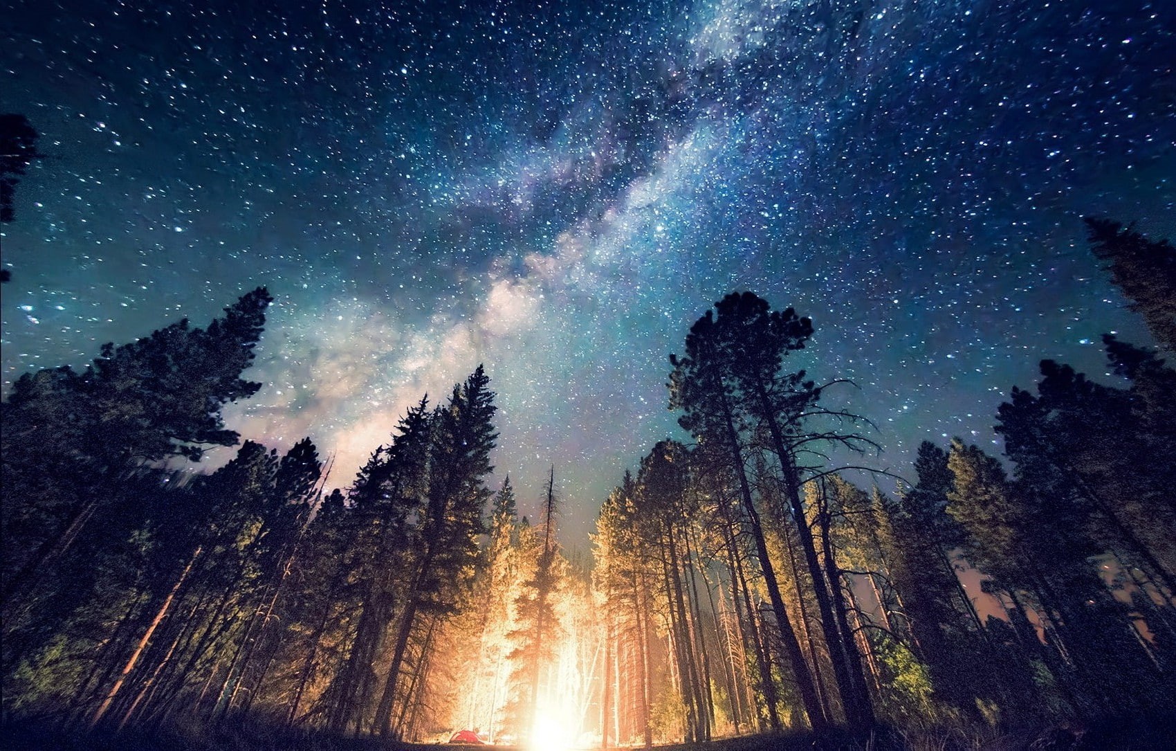 forest, Milky way, Lights, 720P, Long Exposure, Starry Night, galaxy, nature, Camping, Trees, landscape, New Mexico, HD Wallpaper