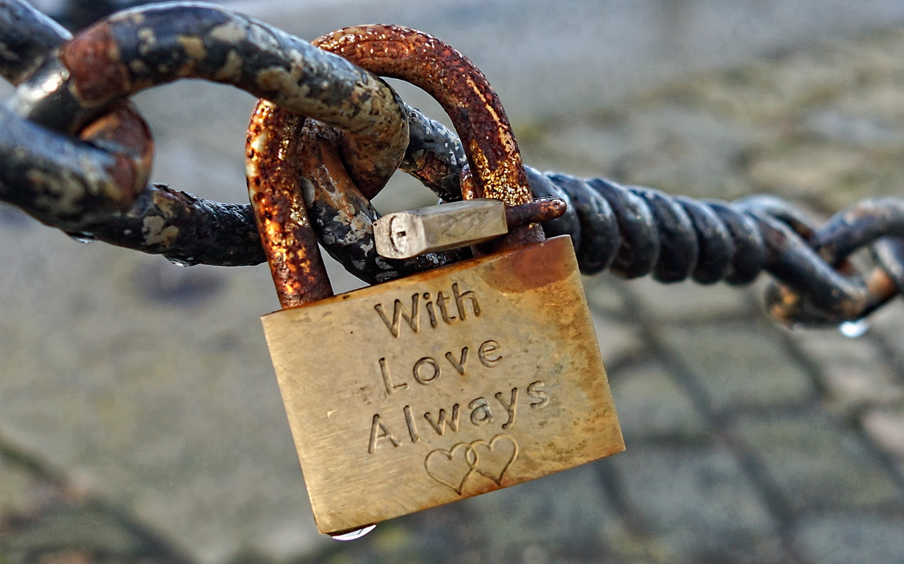 focus, gray, shallow focus, With love, love always, padlock, bokeh, metal, 2K, Sony SLT-A65V, liverpool, love, selective focus, shallow, love locks, safety, HD Wallpaper