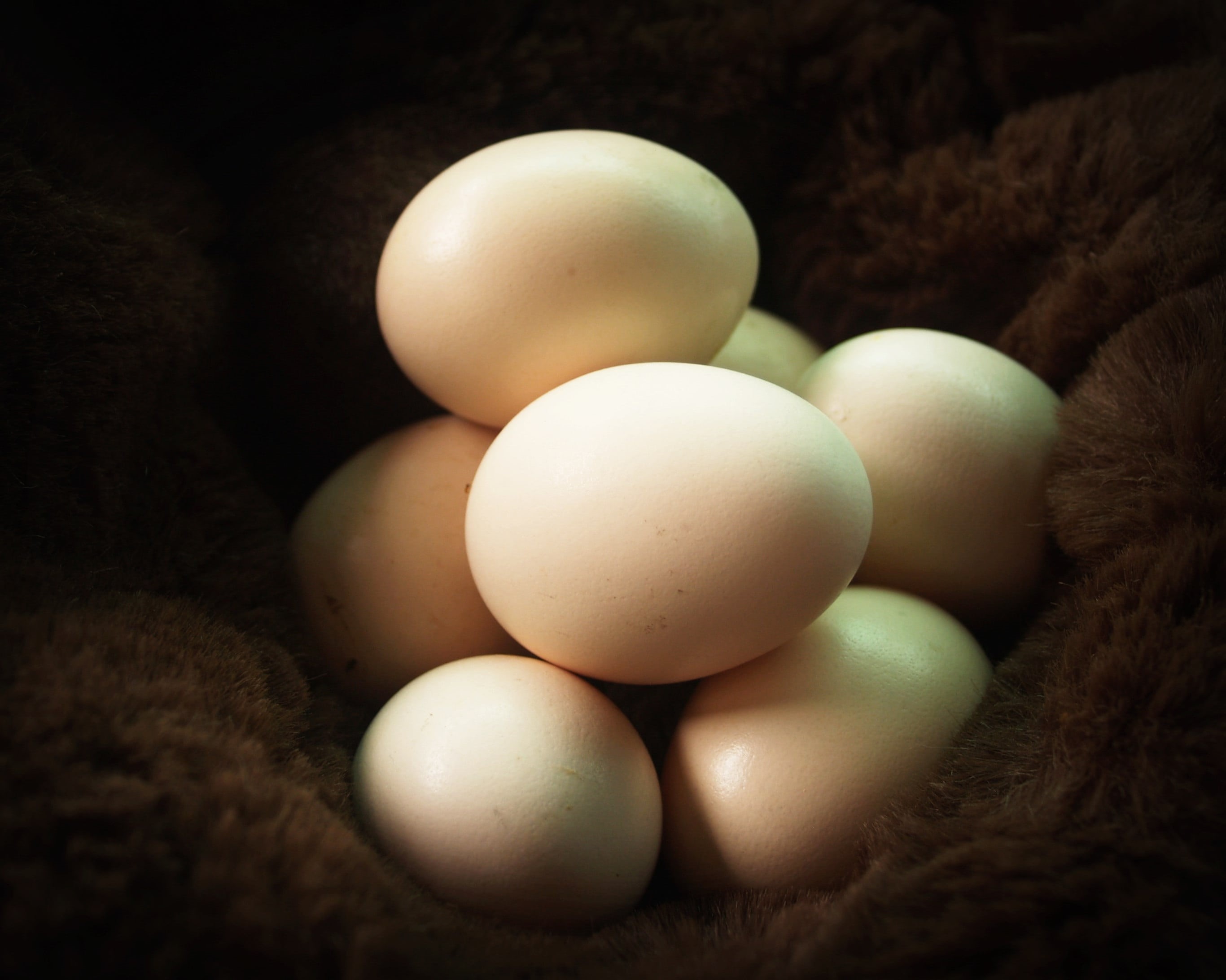 rustic, freshness, 2K, cooking, useful, kitchen, selective focus, dark, group, provence, fragility, bagging, country, healthy, no people, eggshell, beige, HD Wallpaper