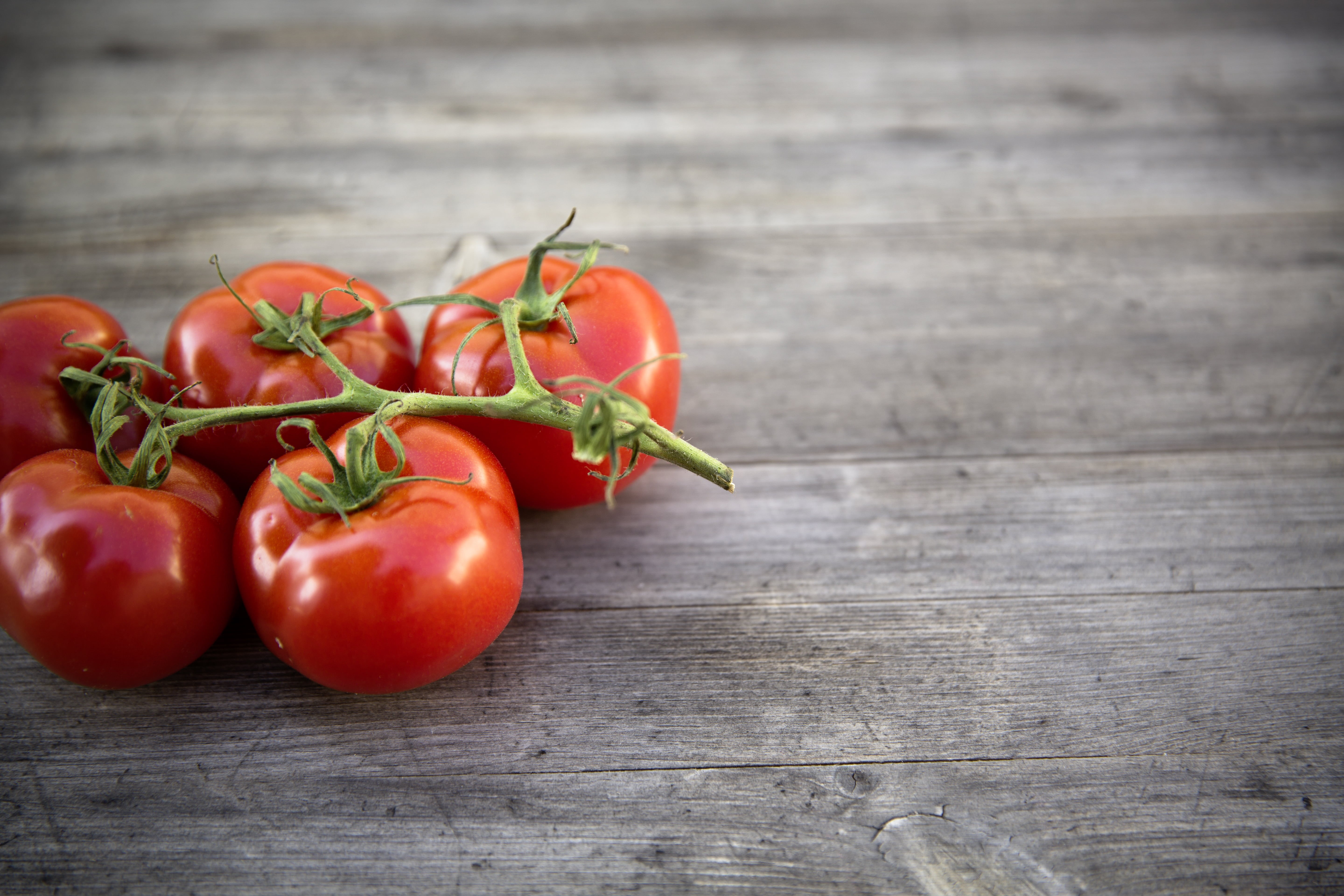organic, photos, surface, red, tomato, ripe, tomatoes, food, freshness, bie, vegetarian Food, wood - Material, vegetable, design, commercial, close-up, HD Wallpaper