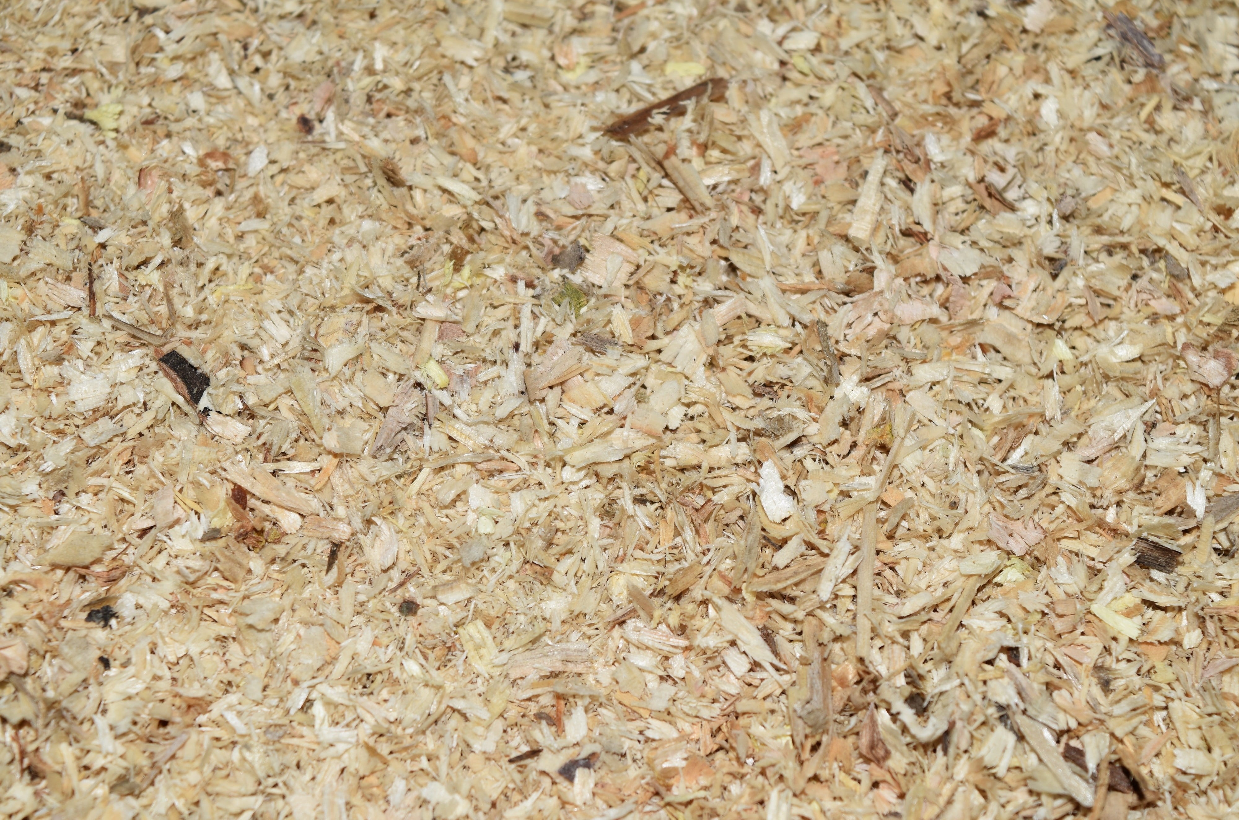 full frame, agriculture, abundance, plant, wood, day, surface, mock up, shavings, food, food and drink, structure, rough, healthy eating, raw food, HD Wallpaper