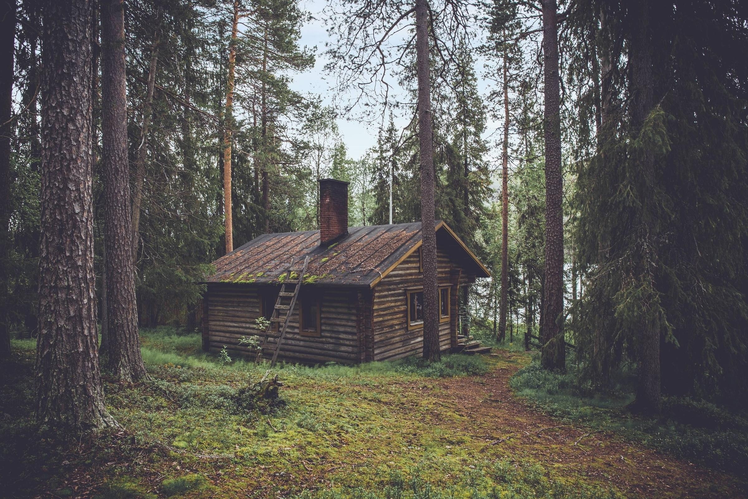wood, forest, cabin, 1080P, house, rooftops, chimneys, cottage, pine trees, HD Wallpaper