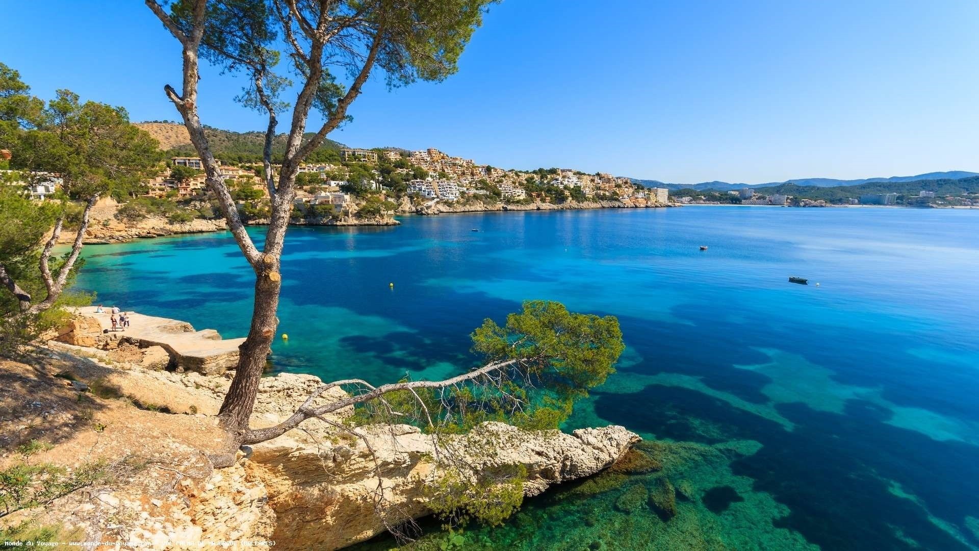 Tree, 1080P, Blue, Menorca, Palma, Spain, Houses, Coast, Sea, HD Wallpaper