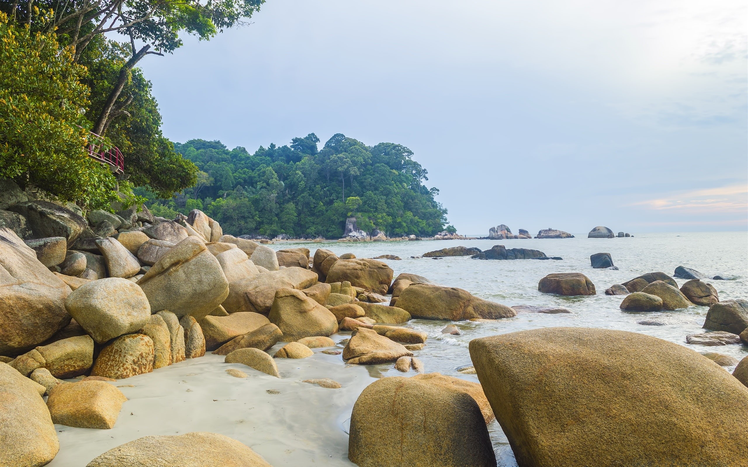 Trees, rock, Coast, Rocks, 2K, beige, Sea, Beach, HD Wallpaper