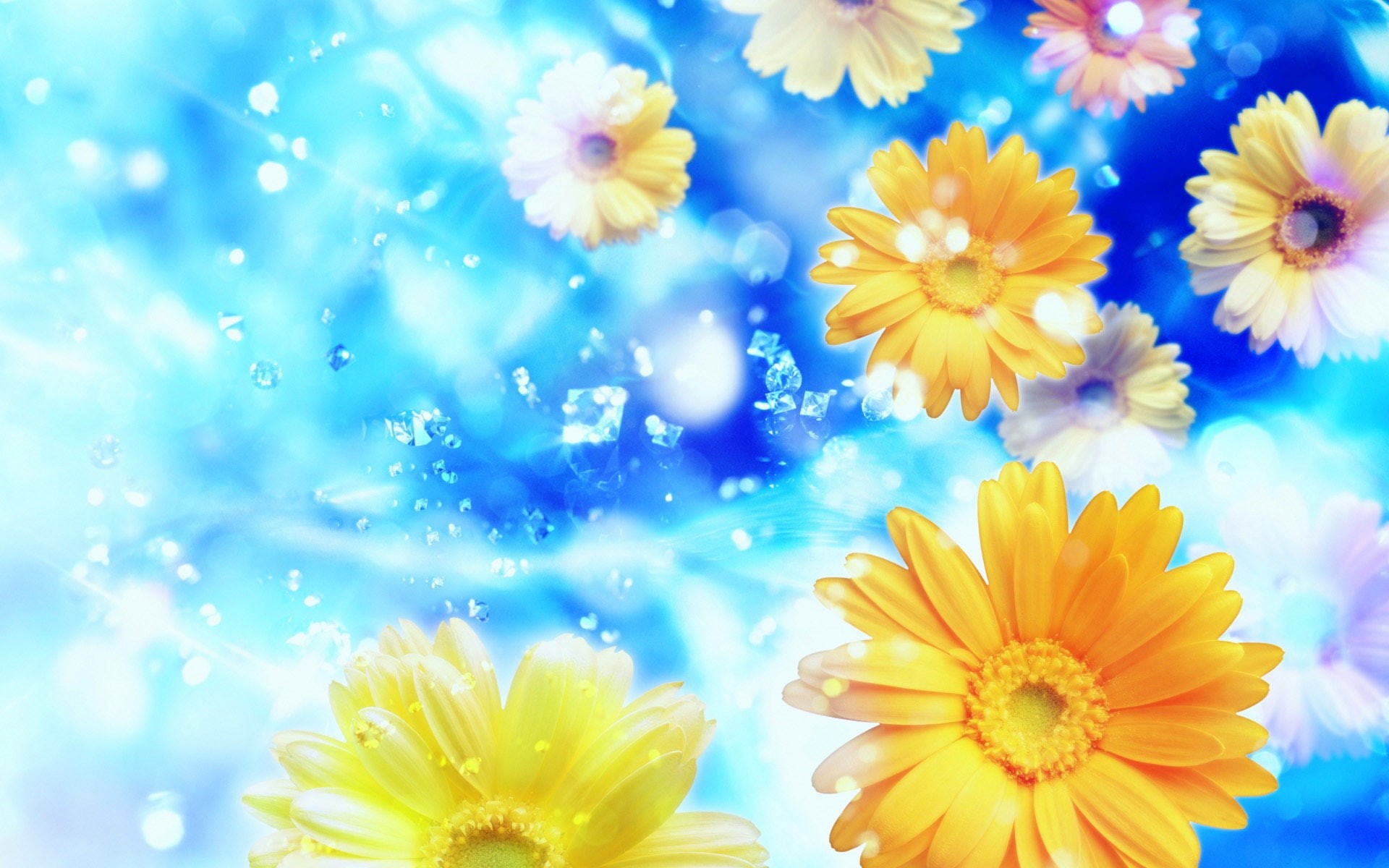 Petals, Flowers, Gerbera, 1080P, Water, Blue, Background, HD Wallpaper