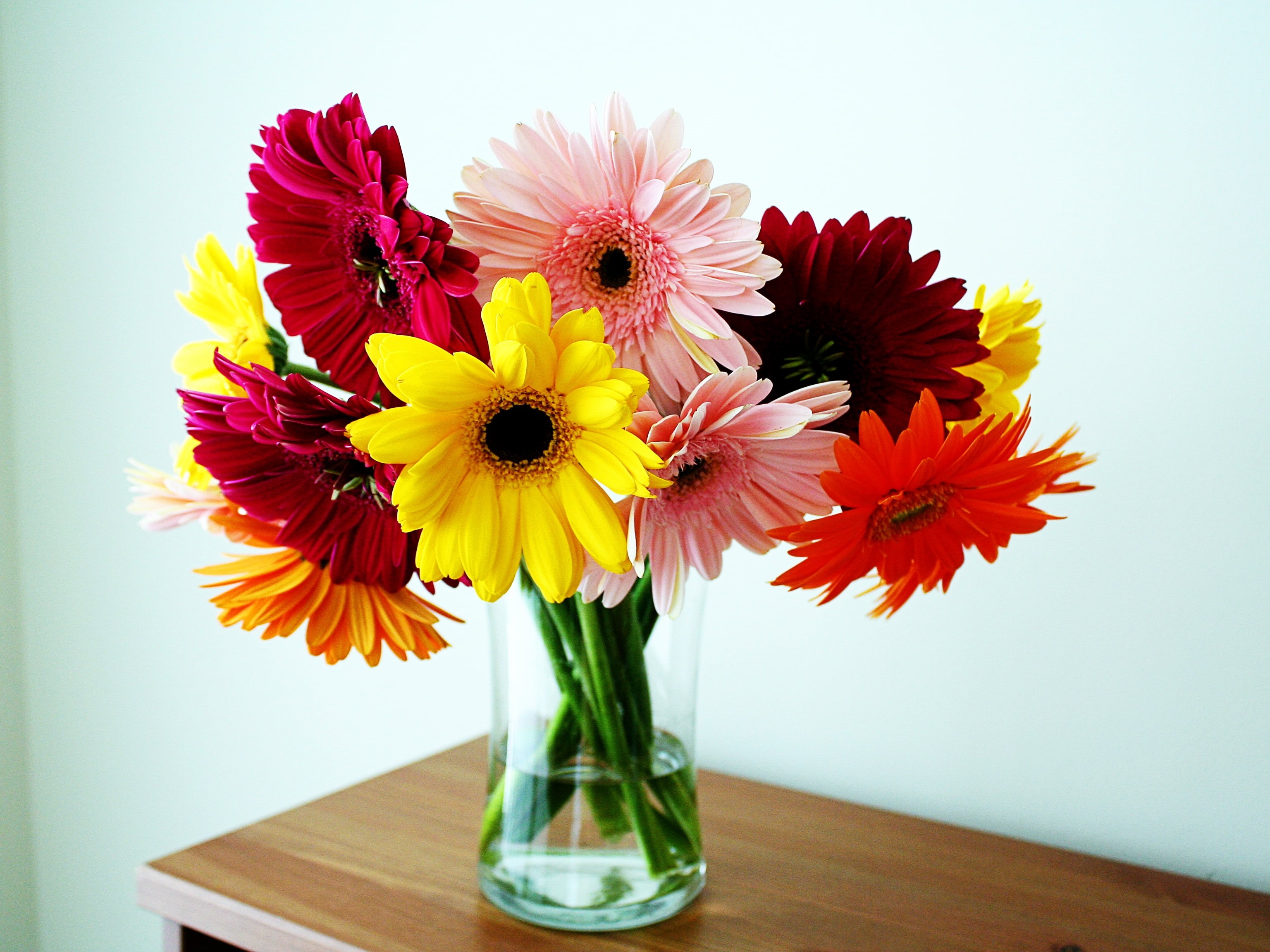 arrangement, petal, decoration, bouquet, flower Head, bunch of flowers, summer, glass - material, close-up, vase, table, no people, gerbera Daisy, inflorescence, HD Wallpaper