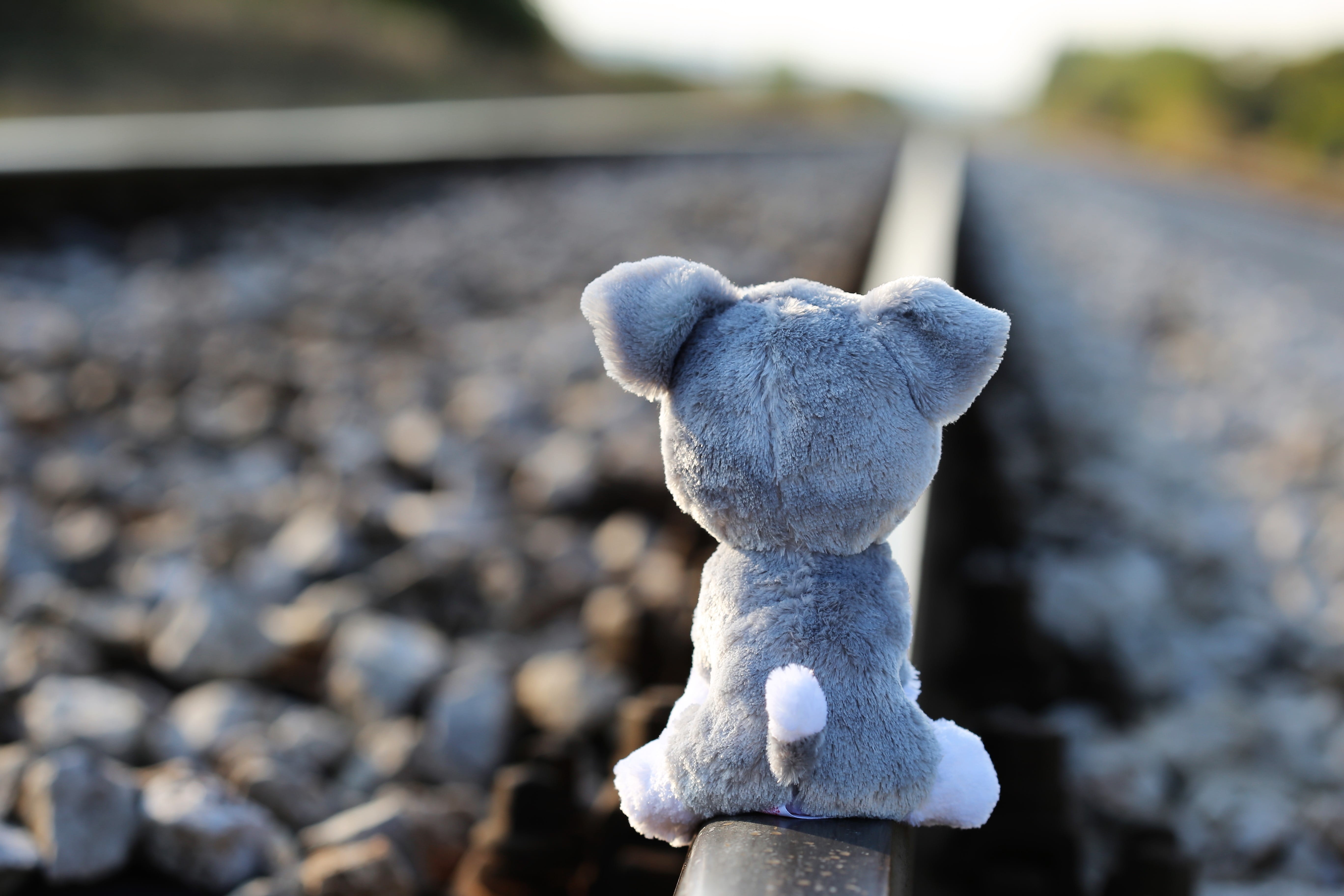 creativity, stop bullying in schools, 5K, solid, stop emotional abuse, sunlight, stop children suicide, home pressure, competitive education system, plush, HD Wallpaper