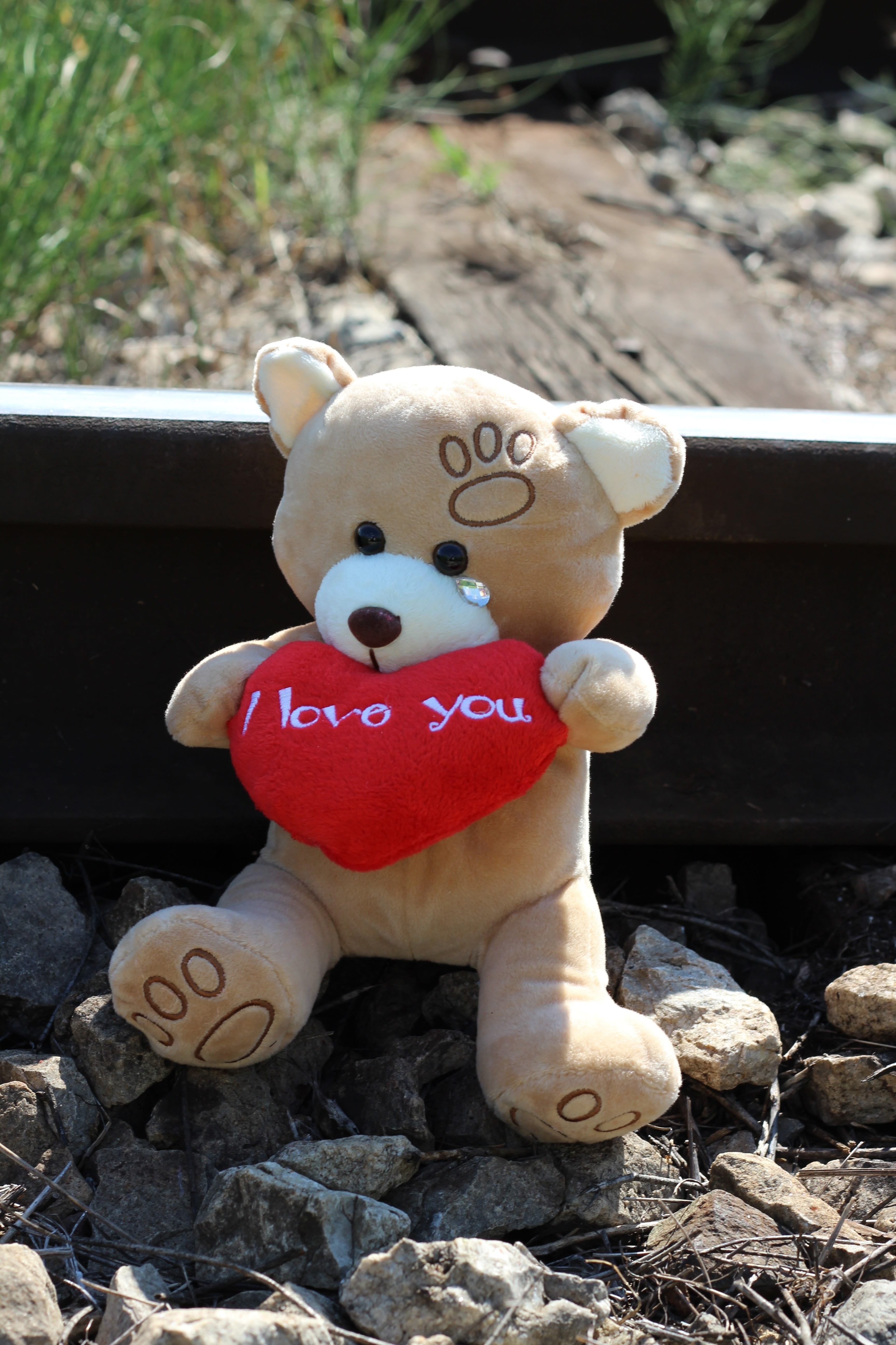 representation, save kids and teens, plush, red, competitive education system, be nice to kids and teens, day, school pressure, home pressure, teddy bear crying, Phone HD Wallpaper