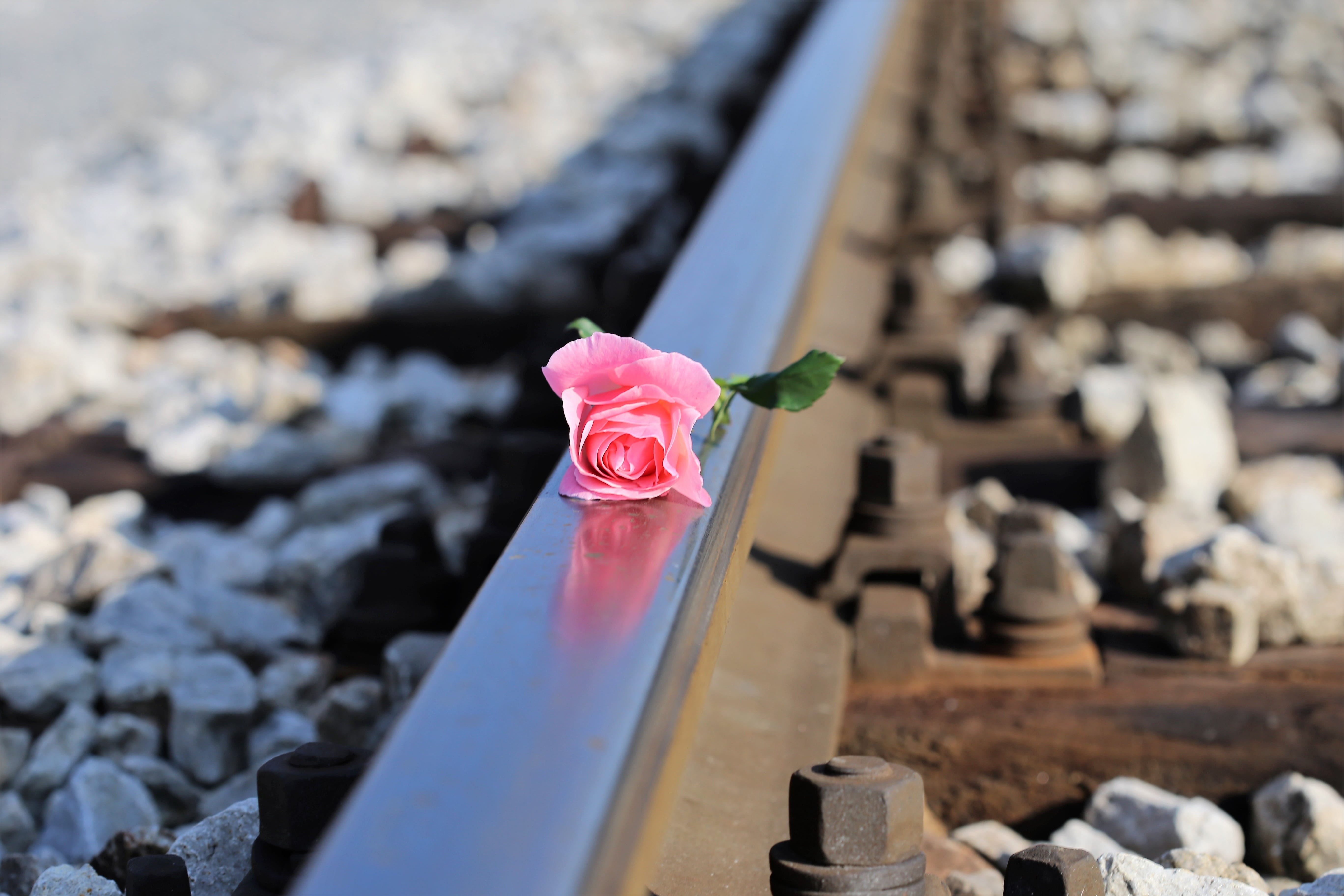 be nice to kids and teens, focus on foreground, nature, peer pressure, stop student suicide, school pressure, beauty in nature, stop cyber bullying, railway, HD Wallpaper