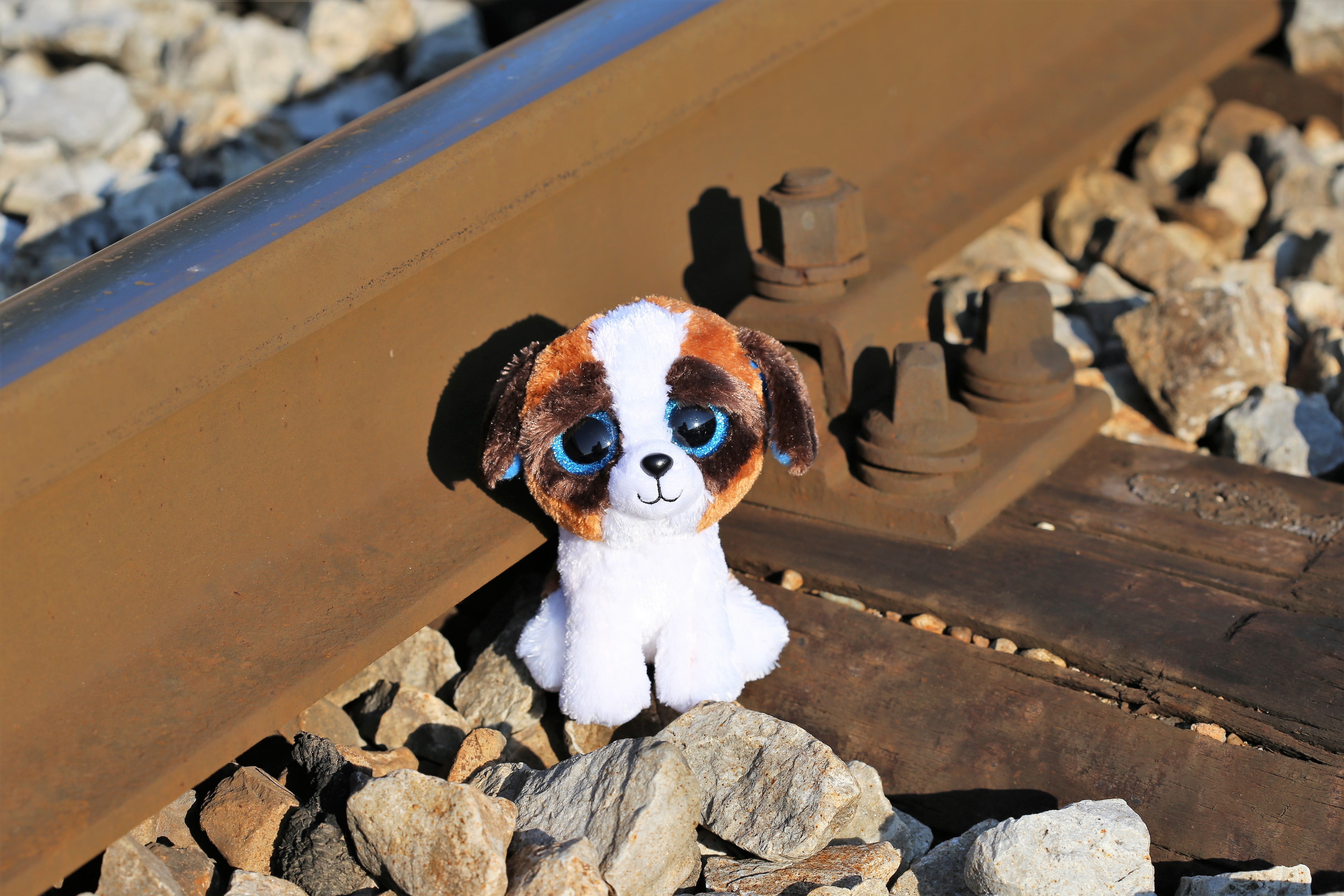 rock, give them a helping hand, looking at camera, horror education system, school stress, railway, 5K, talk with them, one animal, teddy bear waiting, HD Wallpaper