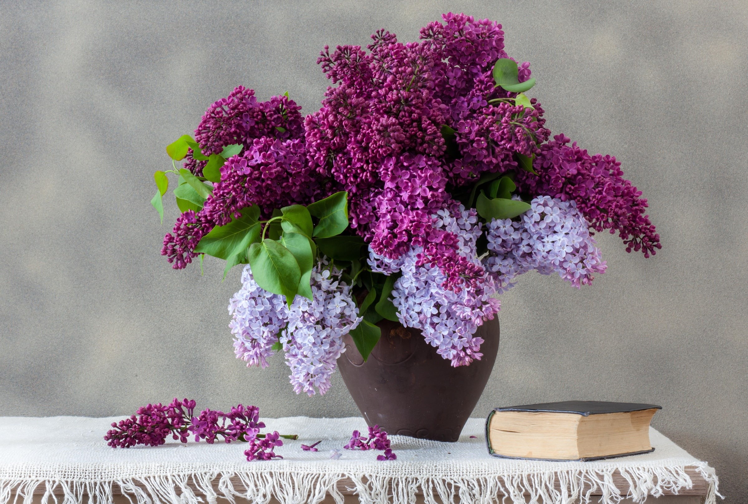 vase, centerpiece, inflorescence, no people, bouquet, vulnerability, fragility, bunch of flowers, nature, plant, flower arrangement, close-up, petal, 1080P, HD Wallpaper