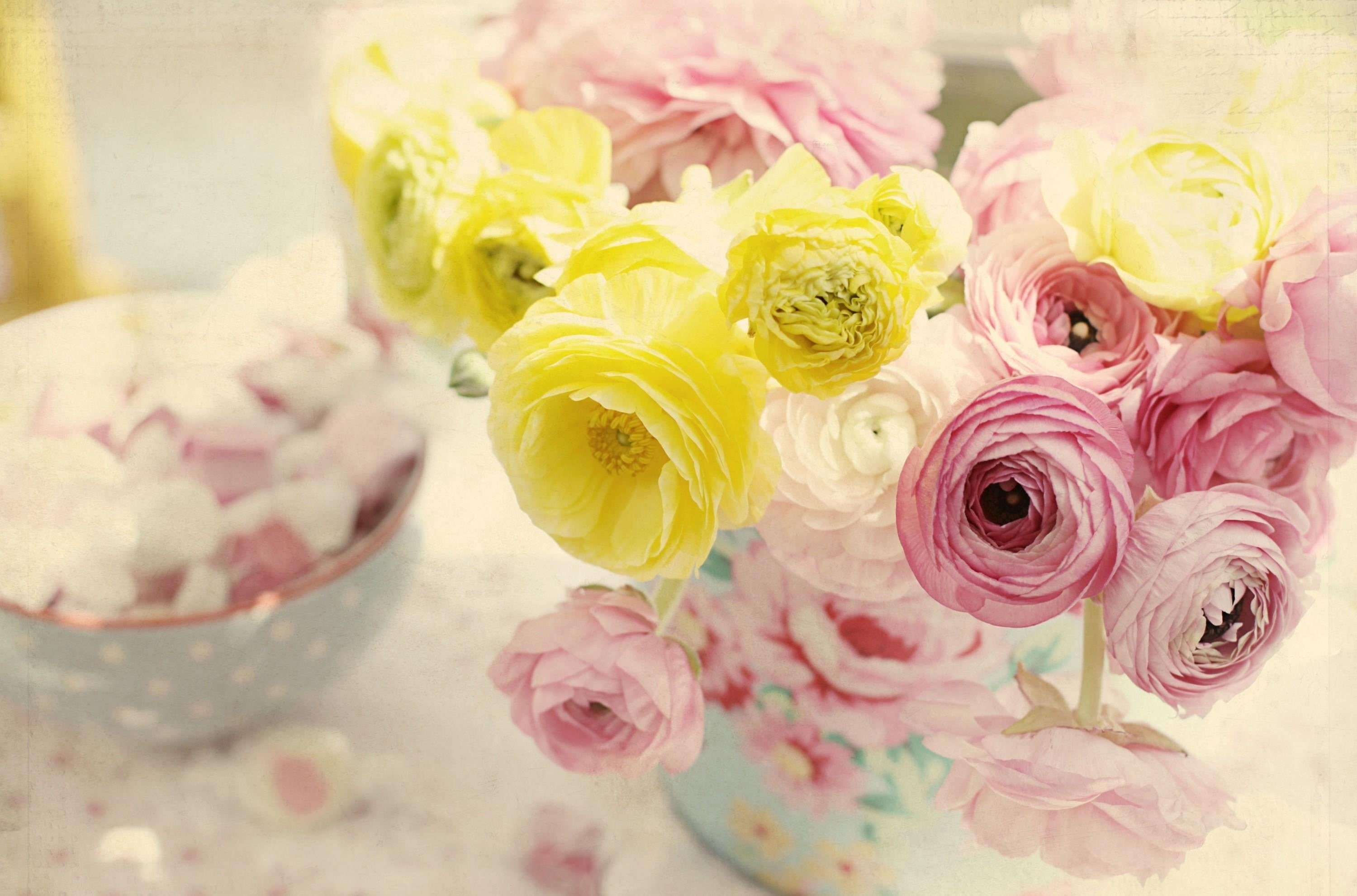 flower, ranunculus, tenderness, flowering plant, vase, petal, flower arrangement, pattern, plant, day, fragility, centerpiece, bouquet, gift, arrangement, HD Wallpaper