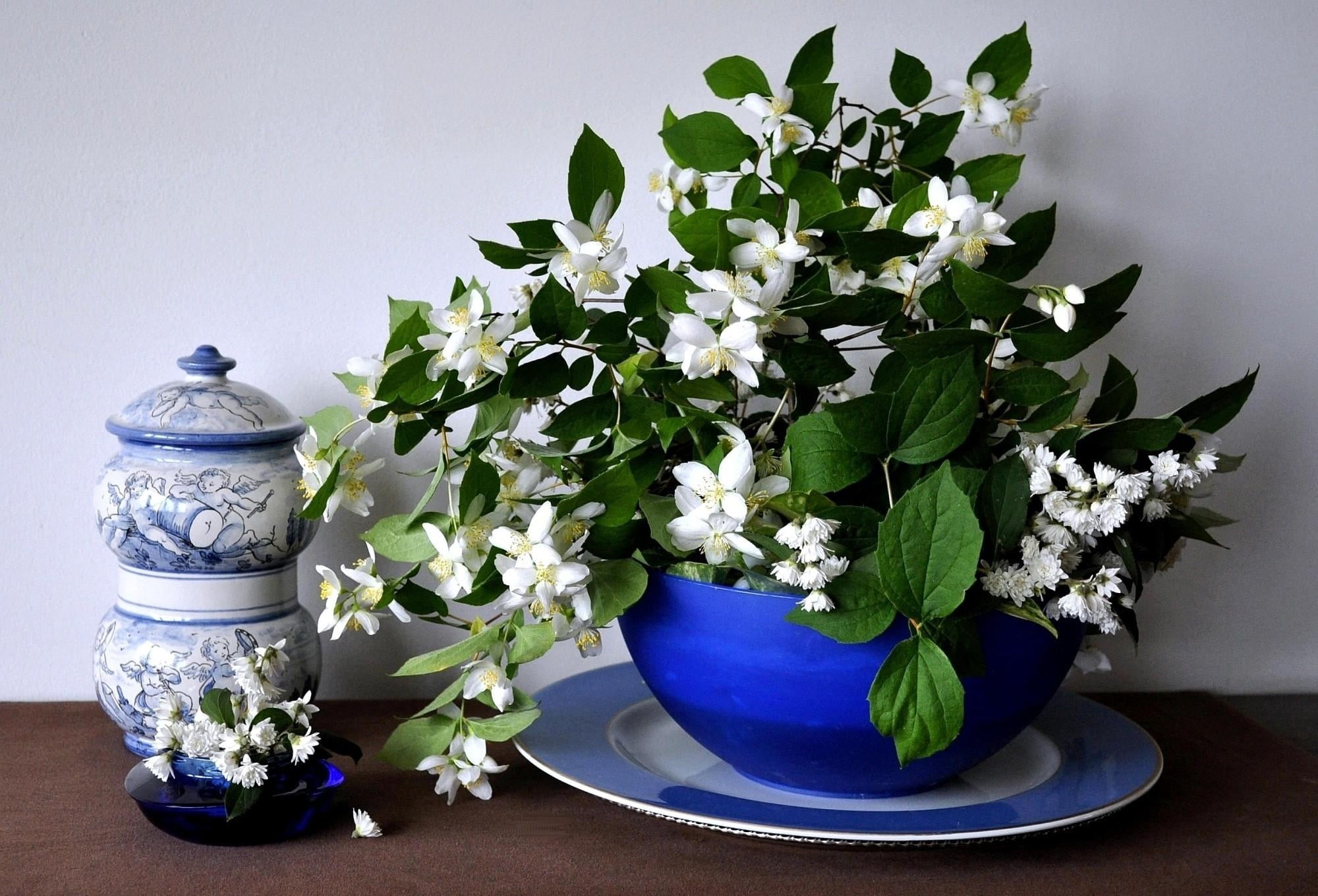 ceramics, table, no People, nature, ornate, flower Head, flower Pot, vase, flowers, close-up, leaf, still life, white, green Color, growth, spring, backgrounds, HD Wallpaper