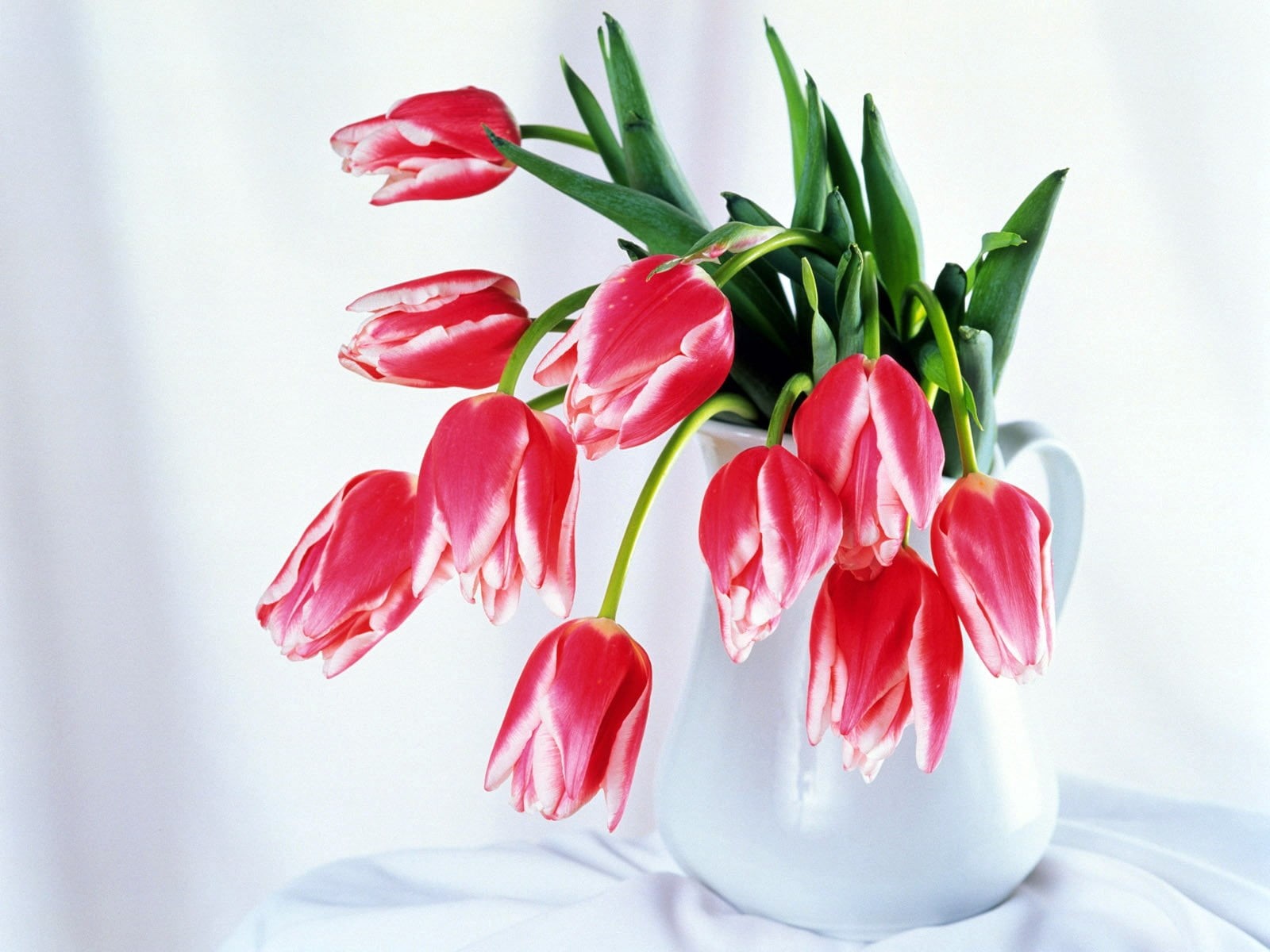white, close-up, pitcher, easter, fragility, celebration, bunch of flowers, 720P, petal, colorful, blossom, tulip, flower arrangement, tulips, flower, HD Wallpaper
