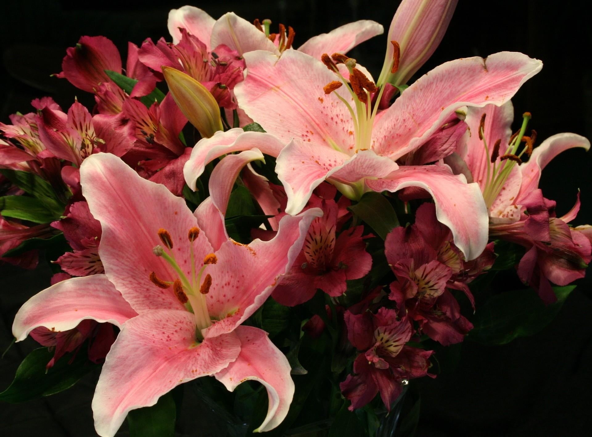 summer, bunch of flowers, outdoors, beauty In Nature, vulnerability, petal, 1080P, multi Colored, stamen, freshness, bouquet, springtime, lily, close-up, HD Wallpaper