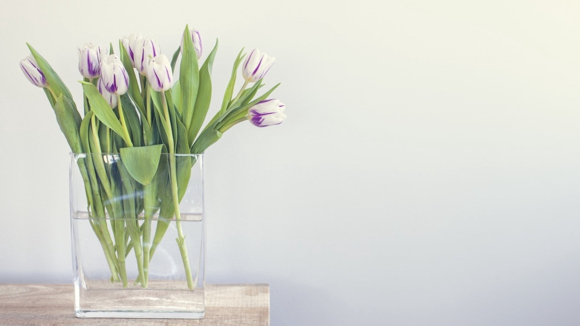close-up, decoration, flower, flower arrangement, day, blossom, studio shot, plant, nature, colors, flowering plant, bouquet, decor, petal, vase, cut Flowers, HD Wallpaper