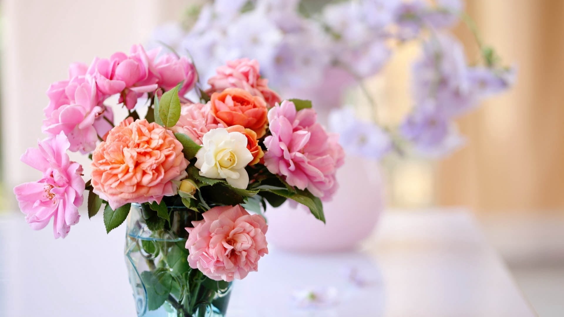indoors, flower, day, springtime, romance, peony, flowers, nature, 1080P, backgrounds, white, orange, plant, fragility, pink, flower Head, rose - Flower, HD Wallpaper