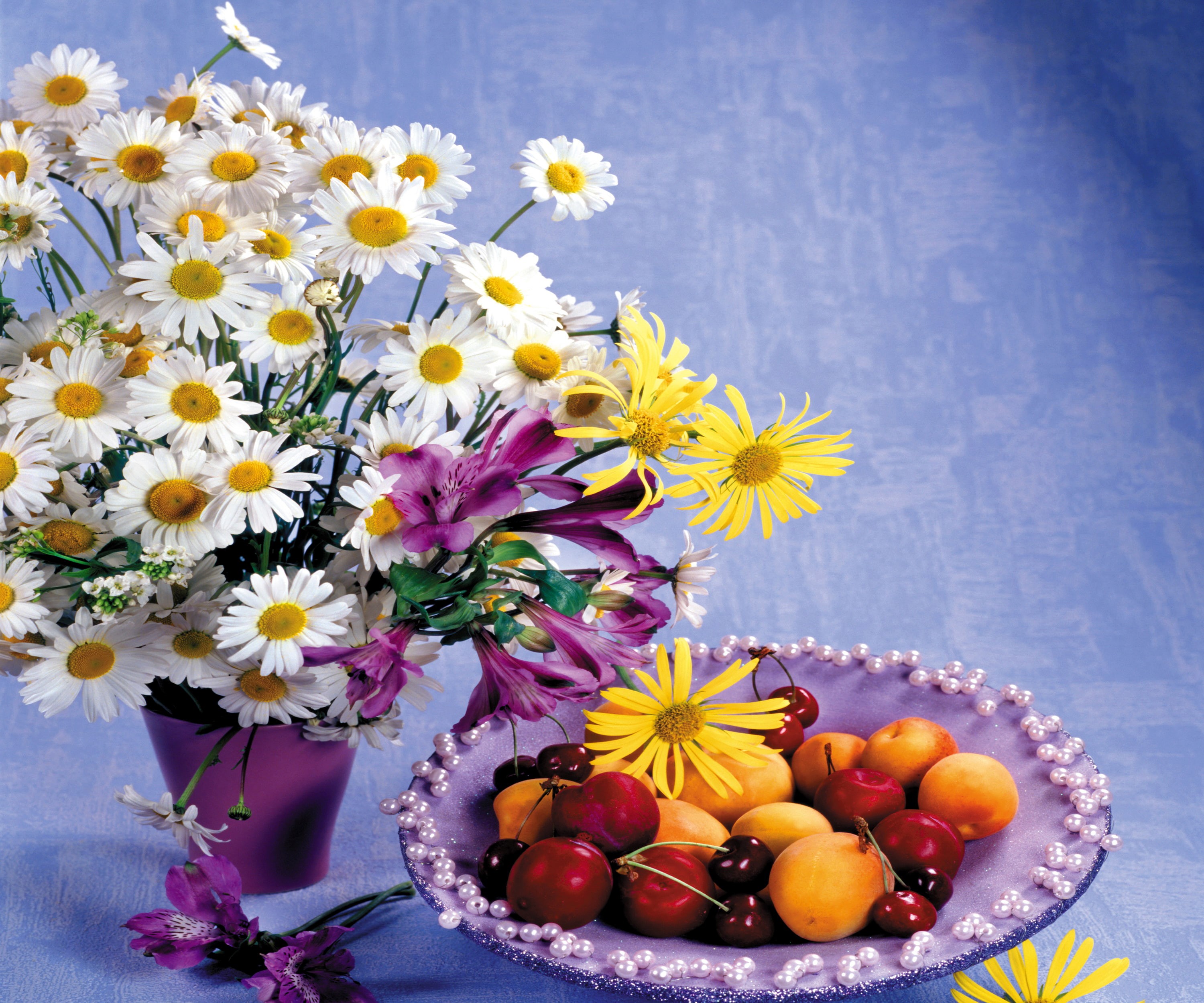 nature, blossom, wellbeing, healthy eating, summer, food, blue, springtime, flower, centerpiece, berry Fruit, season, table, flower Head, cherry, ripe, HD Wallpaper