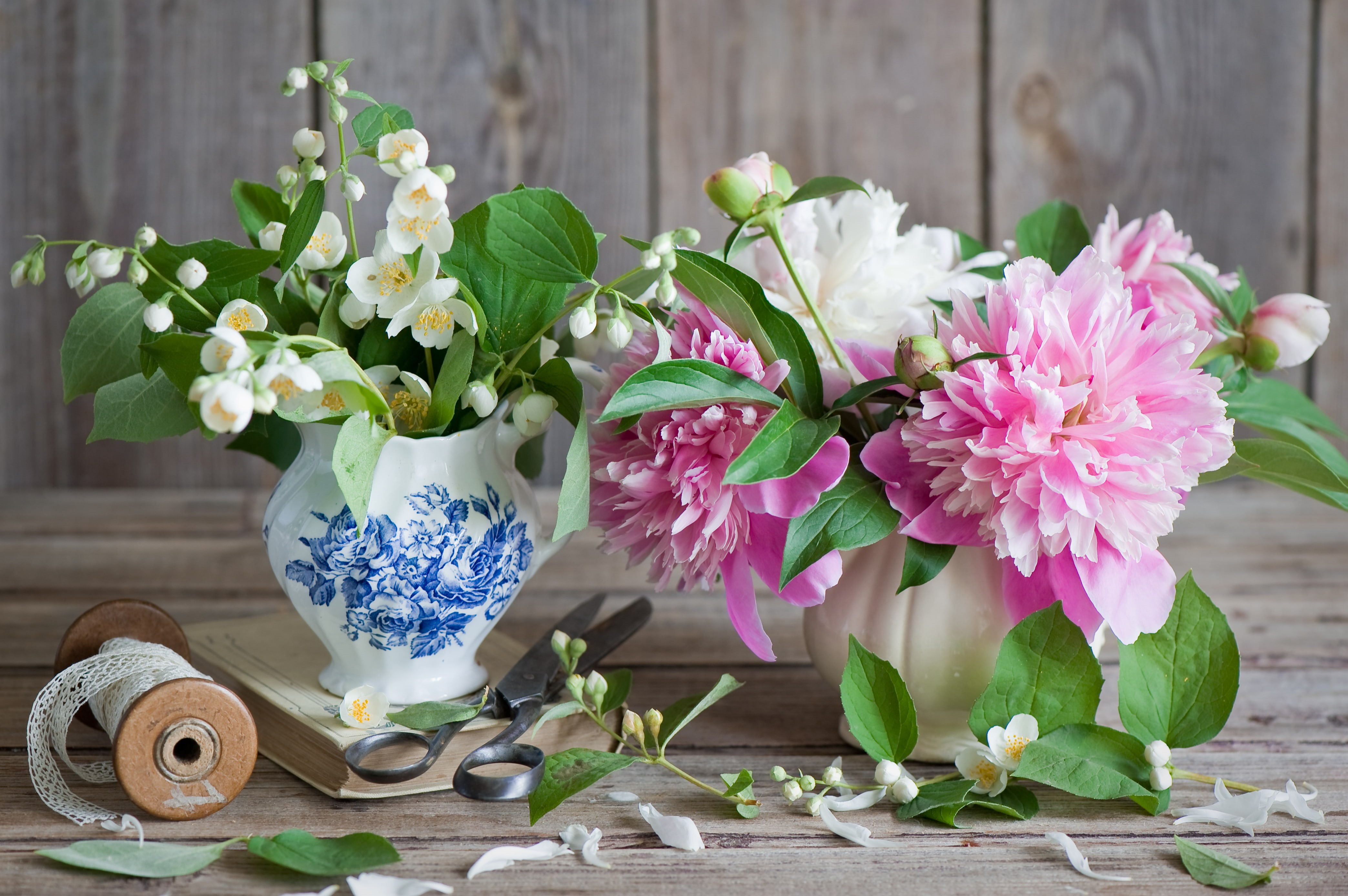 multi Colored, freshness, flowering plant, nature, Jasmine, flower arrangement, inflorescence, ornate, bunch of flowers, plant part, flower Pot, hydrangea, HD Wallpaper