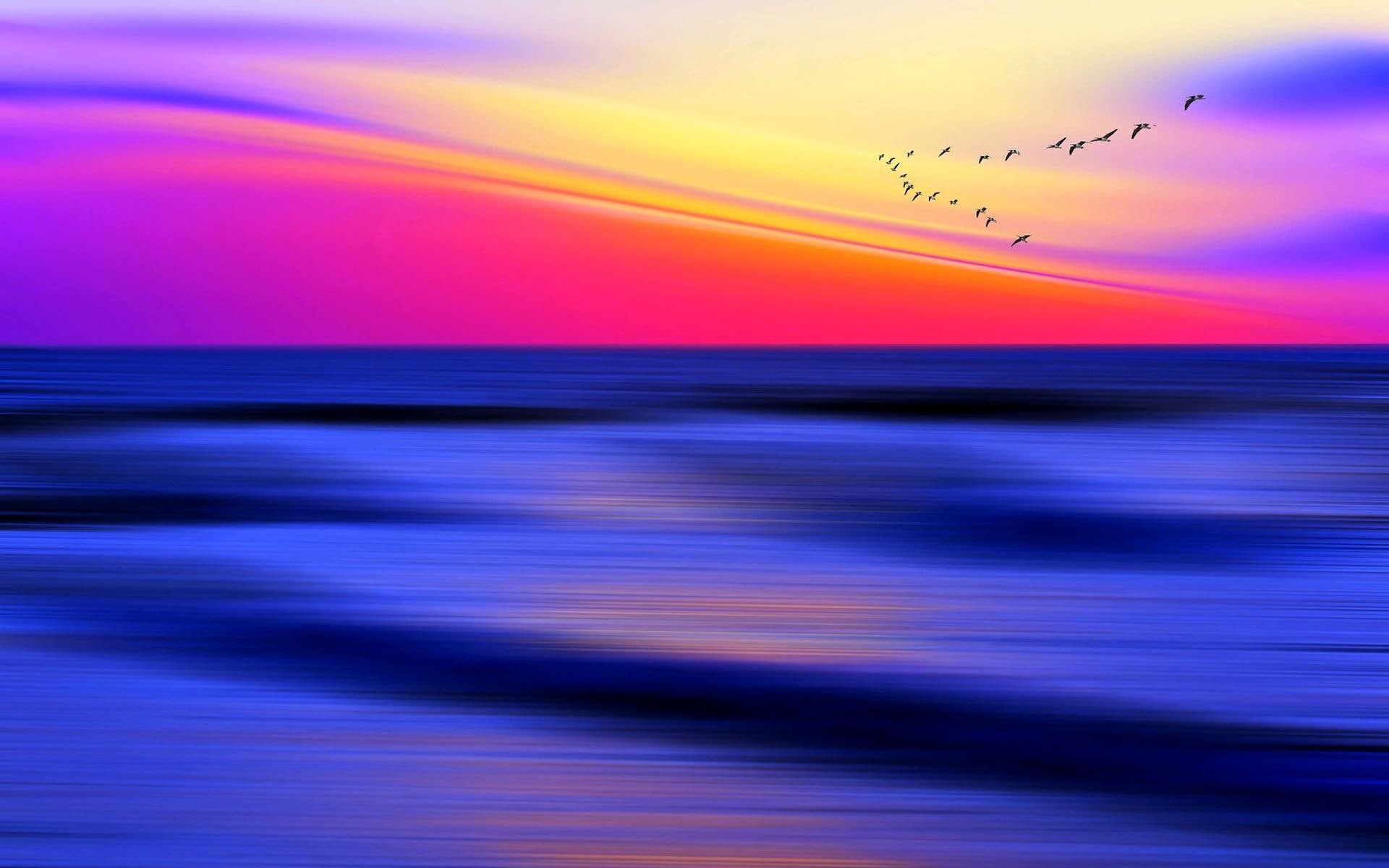 widescreen, blue, painting, photo, impressionism, birds, photography, nature, purple, scenery, abstract, 1080P, 3d and abstract, dreamy, HD Wallpaper