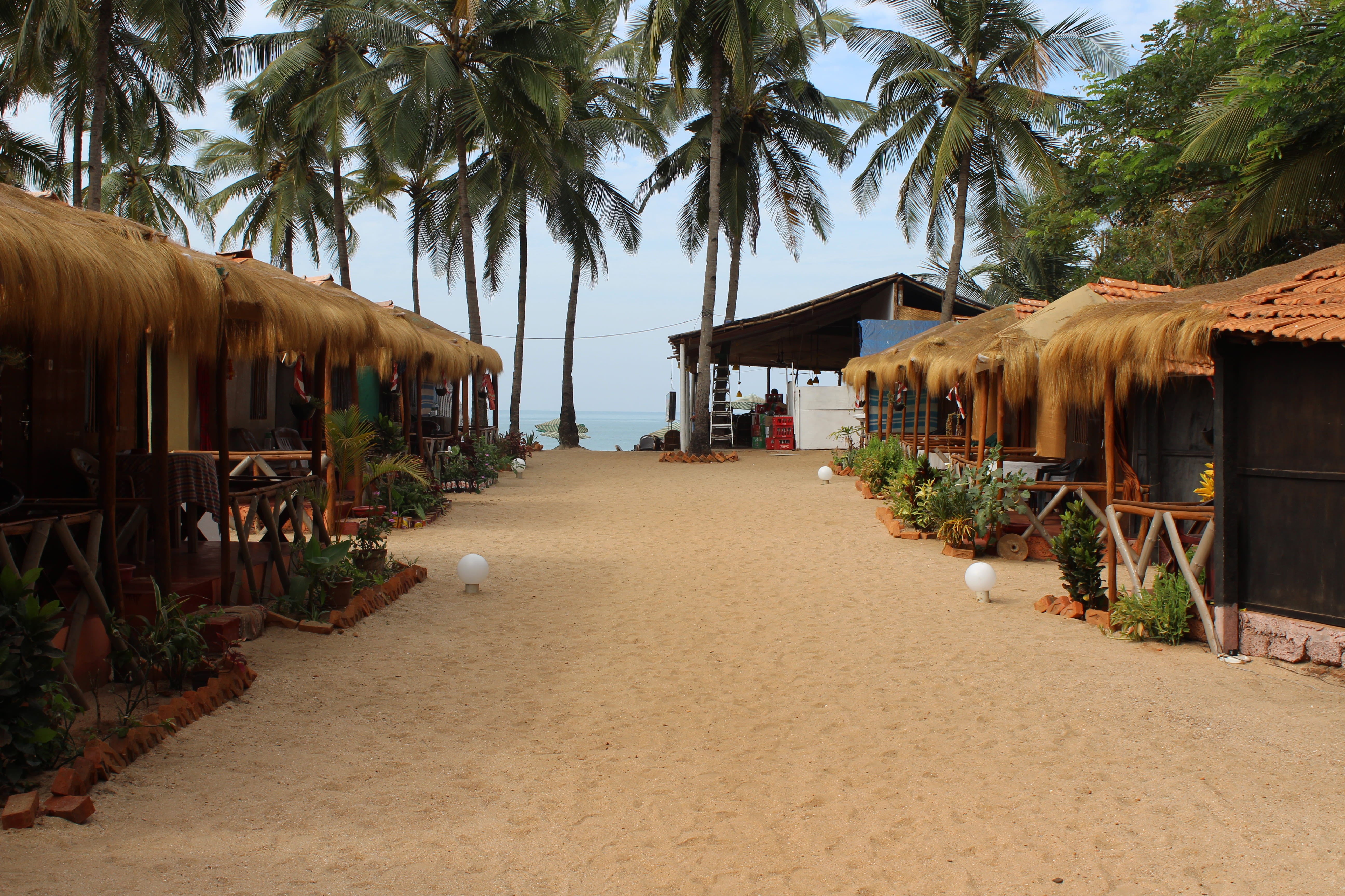 built structure, india, agonda beach, building exterior, roof, tree, beach, huts, outdoors, the way forward, hut, holiday, 5K, shacks, agonda, land, architecture, HD Wallpaper