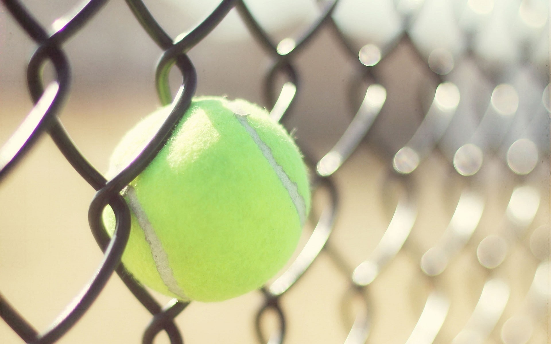 sunlight, chainlink fence, close-up, selective focus, tennis, protection, green color, tennis ball, pattern, tennis balls, nature, day, 1080P, focus on foreground, HD Wallpaper