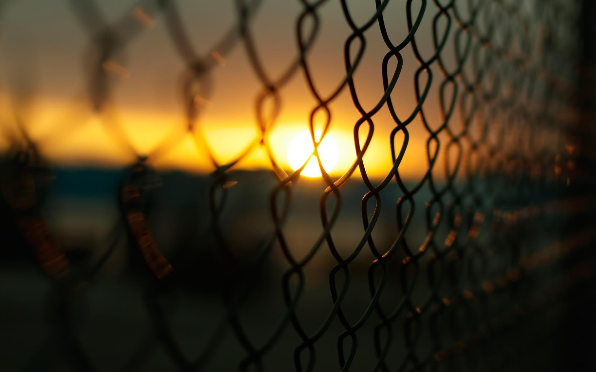 selective focus, macro, chainlink fence, no people, sunset, backgrounds, safety, wire, outdoors, photography, scenics - nature, barrier, metal, boundary, HD Wallpaper