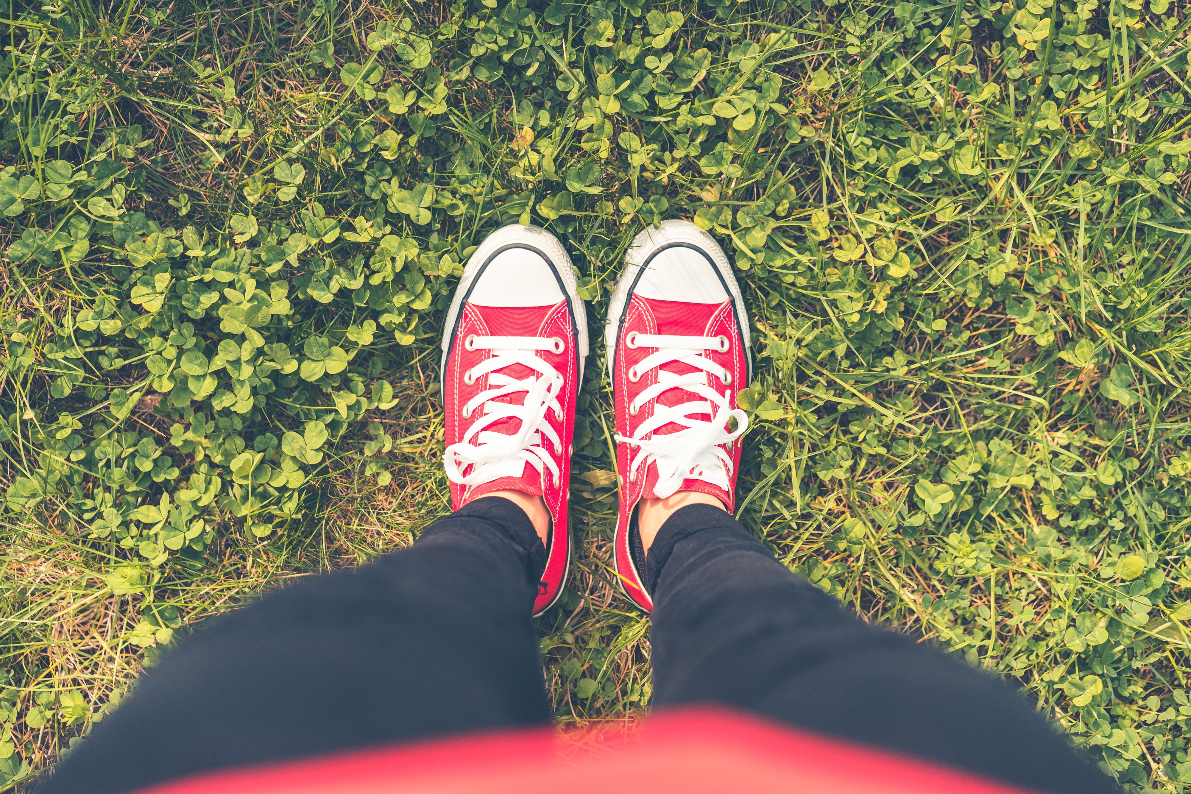 plant, low section, human limb, leisure activity, land, real people, happy, meadow, feels, field, day, lifestyles, shoelaces, human body part, 4K, lovely, HD Wallpaper