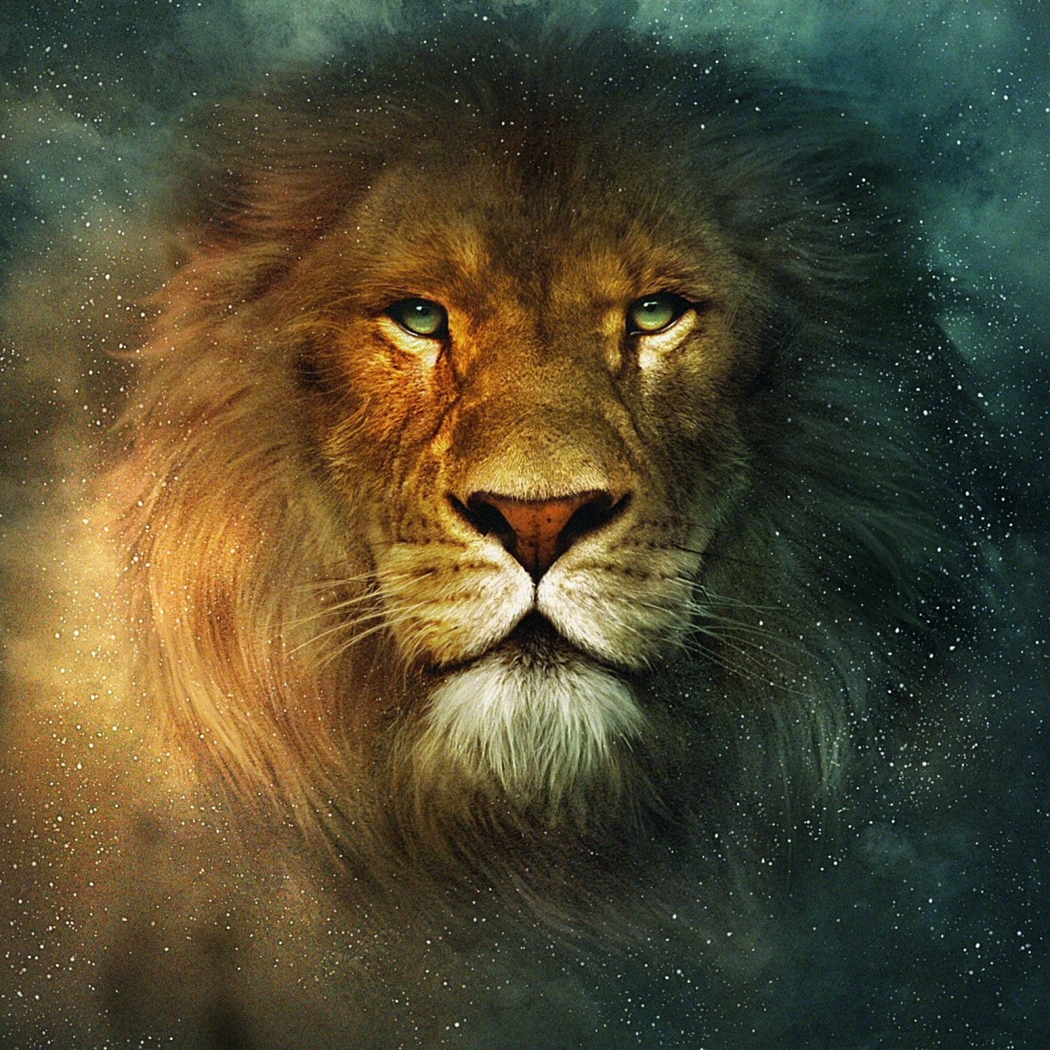Book, series, narnia, family, adventure, Disney, 720P, lion, chronicles, fantasy, 1narnia, Phone HD Wallpaper