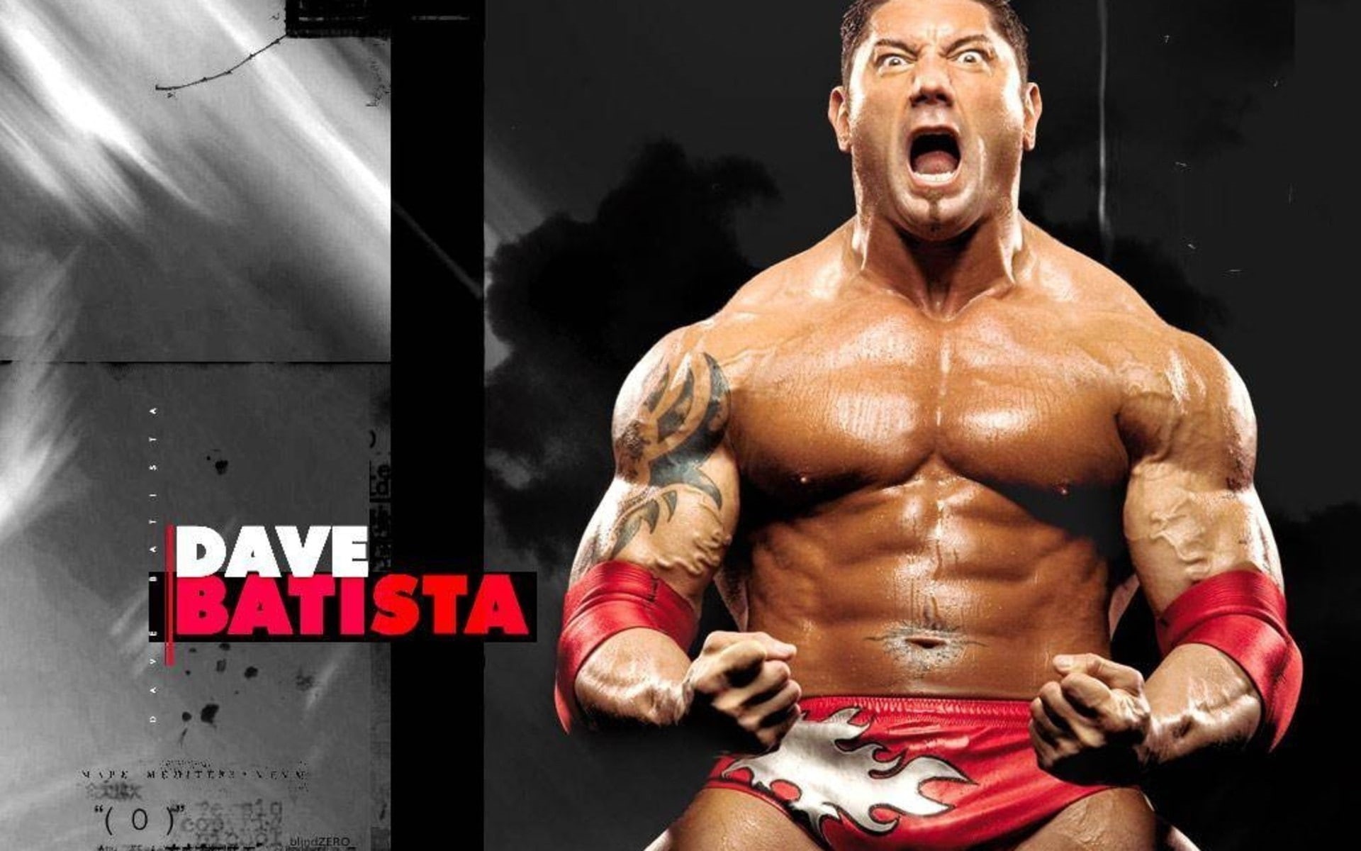 Mania, Wrestle, batista, wwe, 1080P, 1920x1200, sports, Wrestling, HD Wallpaper