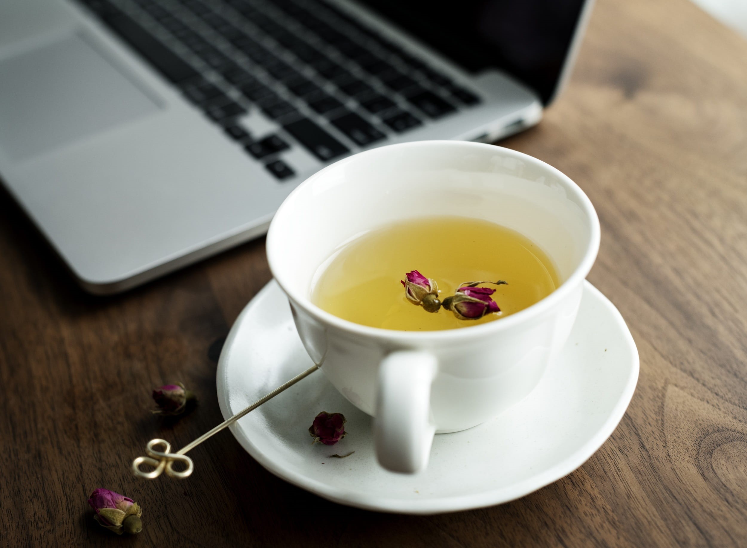 organic, digital, lifestyle, brew, beside, blog, ceramic, office, macbook, freshness, network, communication, daily, technology, working, white, workspace, HD Wallpaper