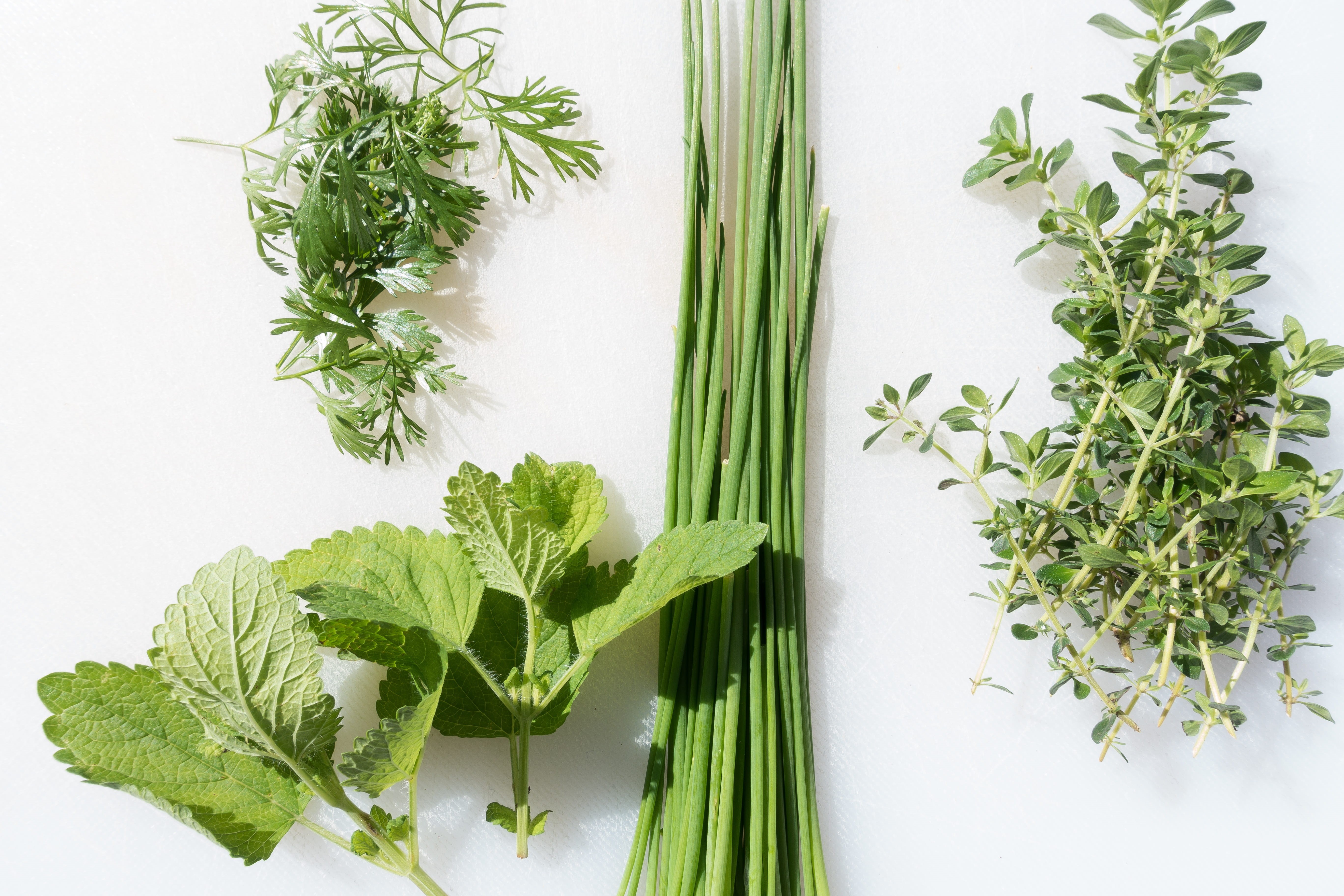 organic, thyme, green Color, kitchen, kitchen spice, lemon balm, indoors, leaf, chervil, herbs, herbal Medicine, bunch, eat, seasoning, delicious, green, HD Wallpaper