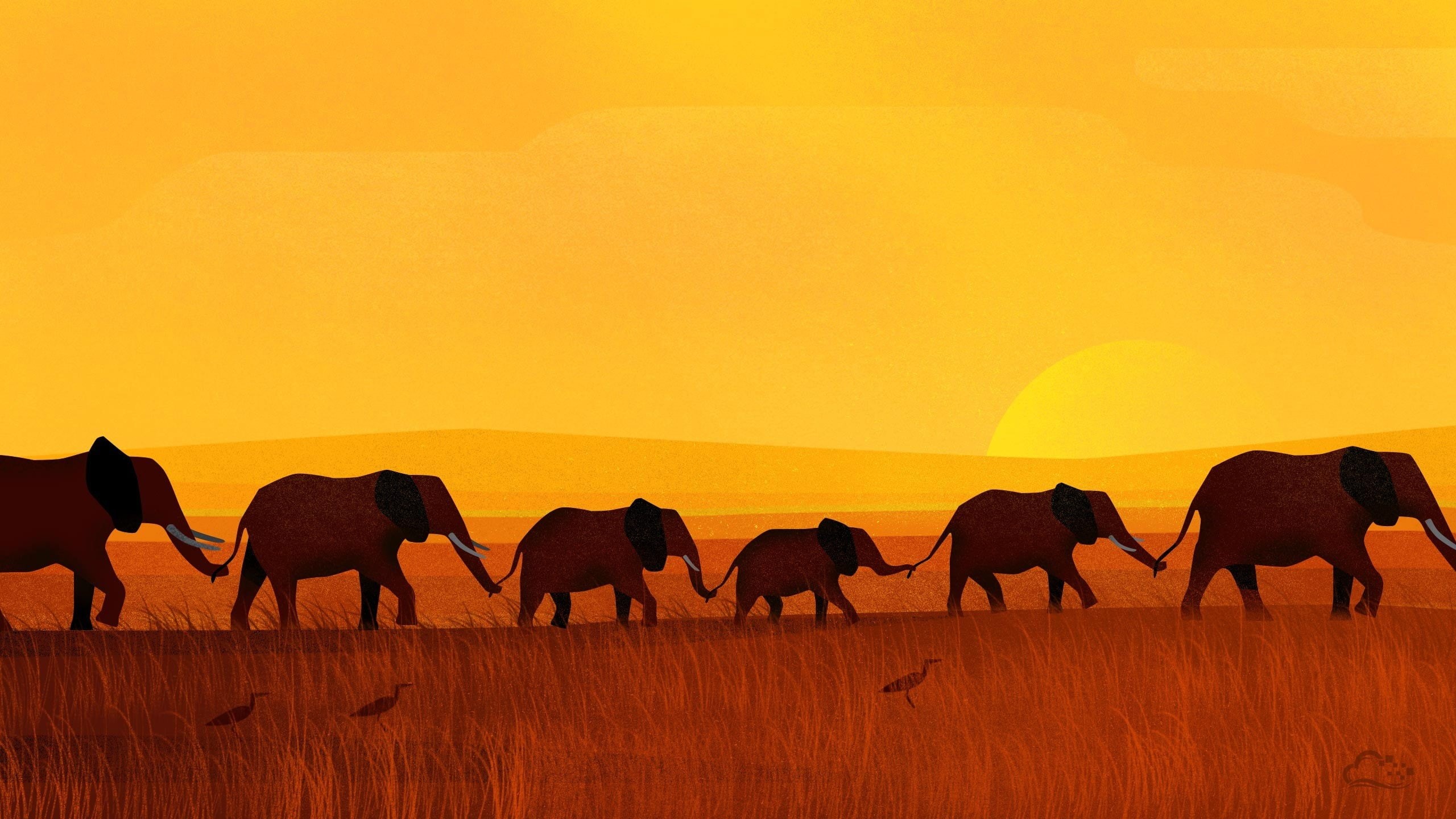 2K, Elephants, digitalocean, HD Wallpaper