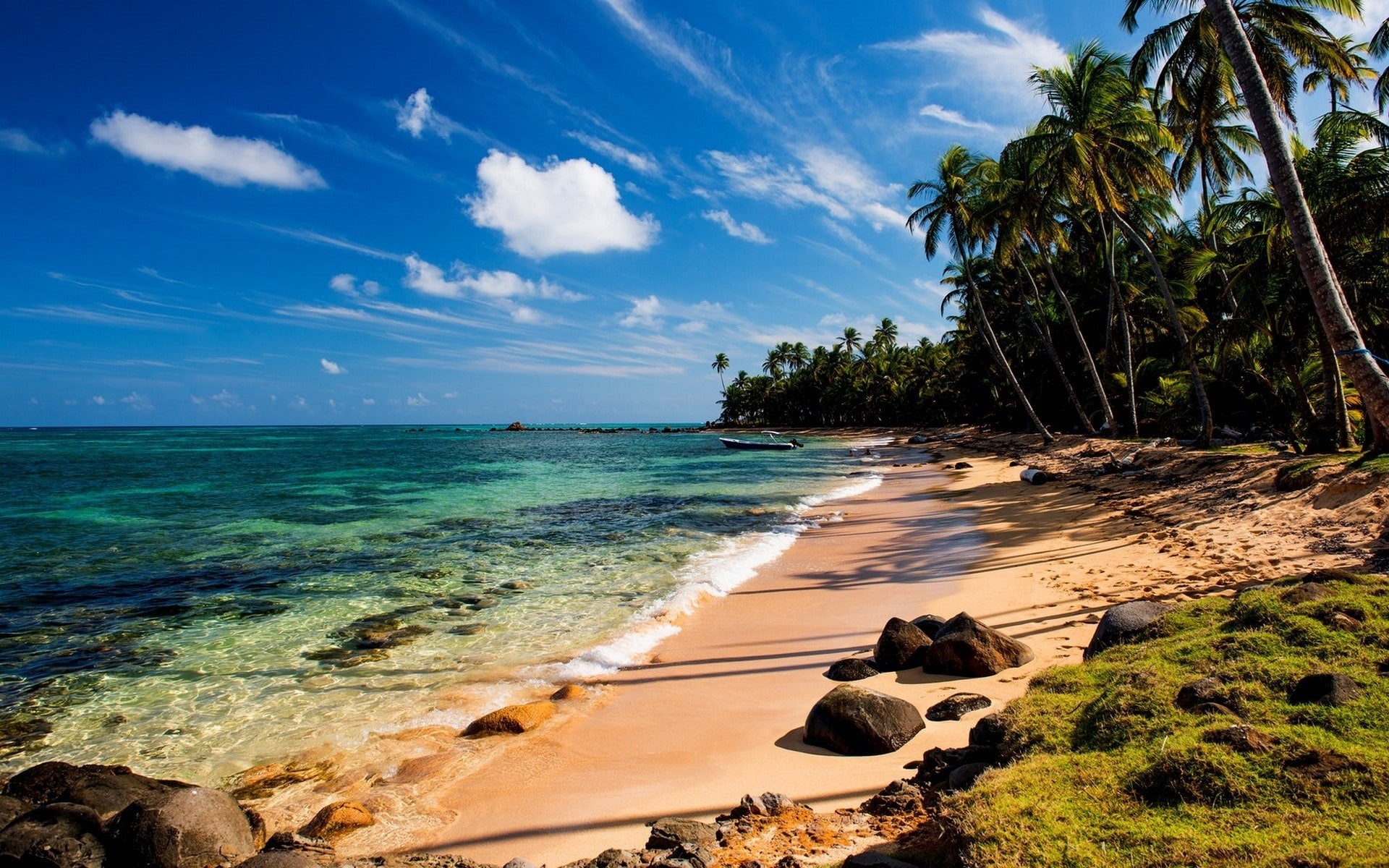 Beach, Stones, Moss, 1080P, Tropical, Sea, Trees, Palm, HD Wallpaper