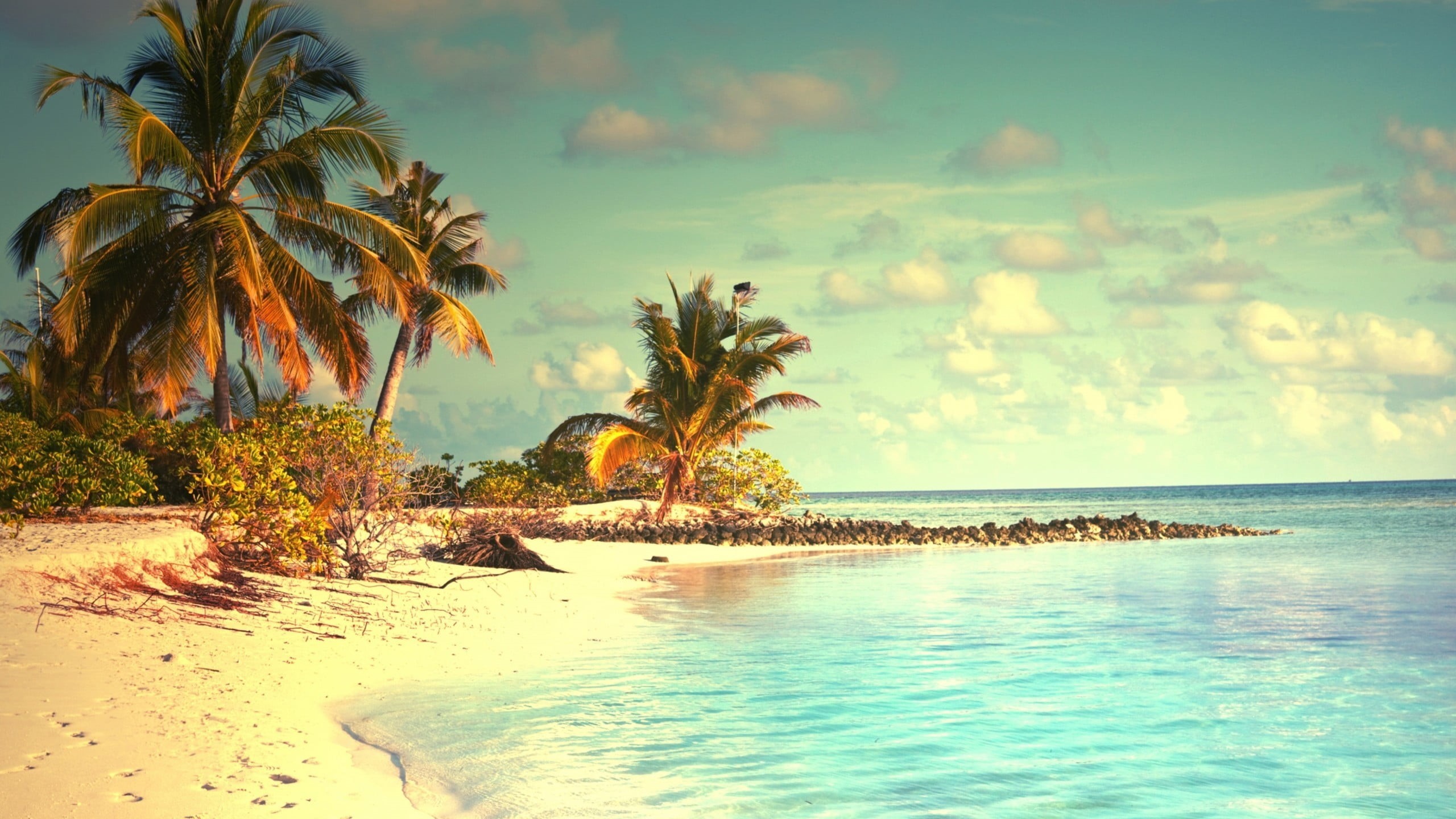 2K, trees, sea, horizon over water, beauty in nature, sky, outdoors, tropical, palm trees, water, land, growth, horizon, green, nature, no people, scenics - nature, HD Wallpaper