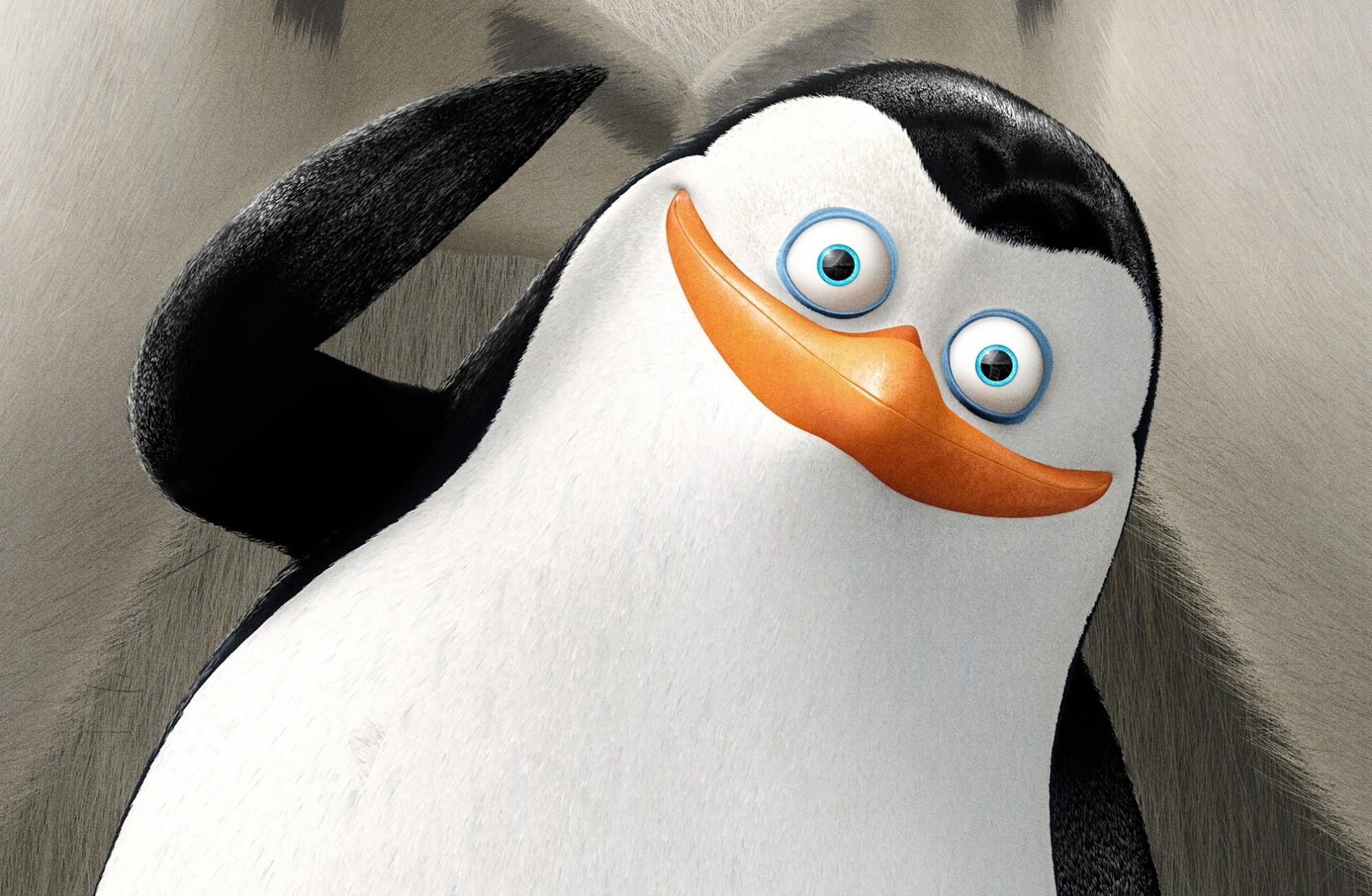 Penguins, animal representation, 1080P, animal body part, single object, white, white color, close-up, art and craft, black, Private, wood - material, HD Wallpaper